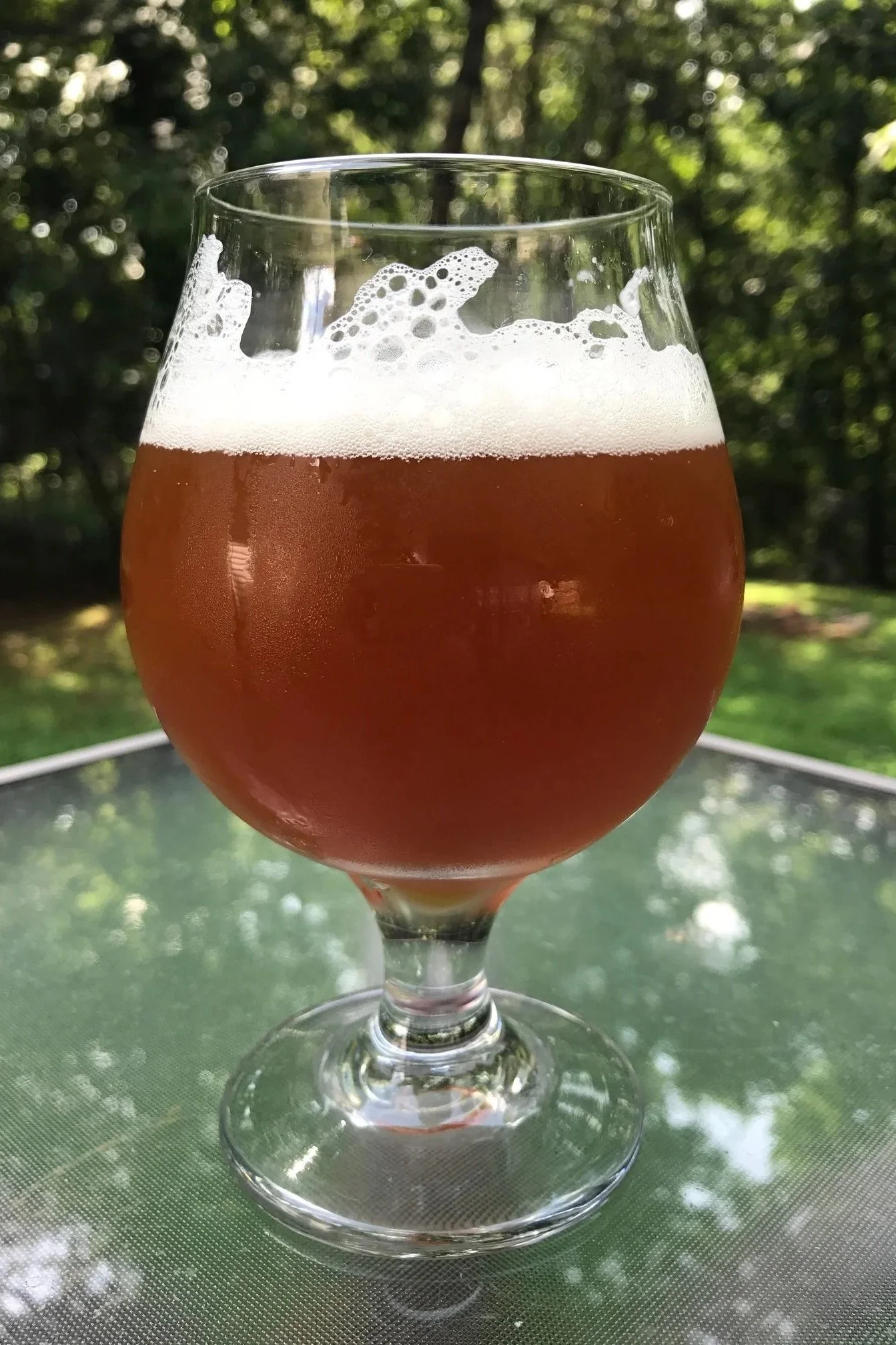 Close up of homebrewed Brettanomyces beer