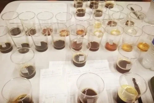 beer judging setup evaluating aroma flavor and appearance