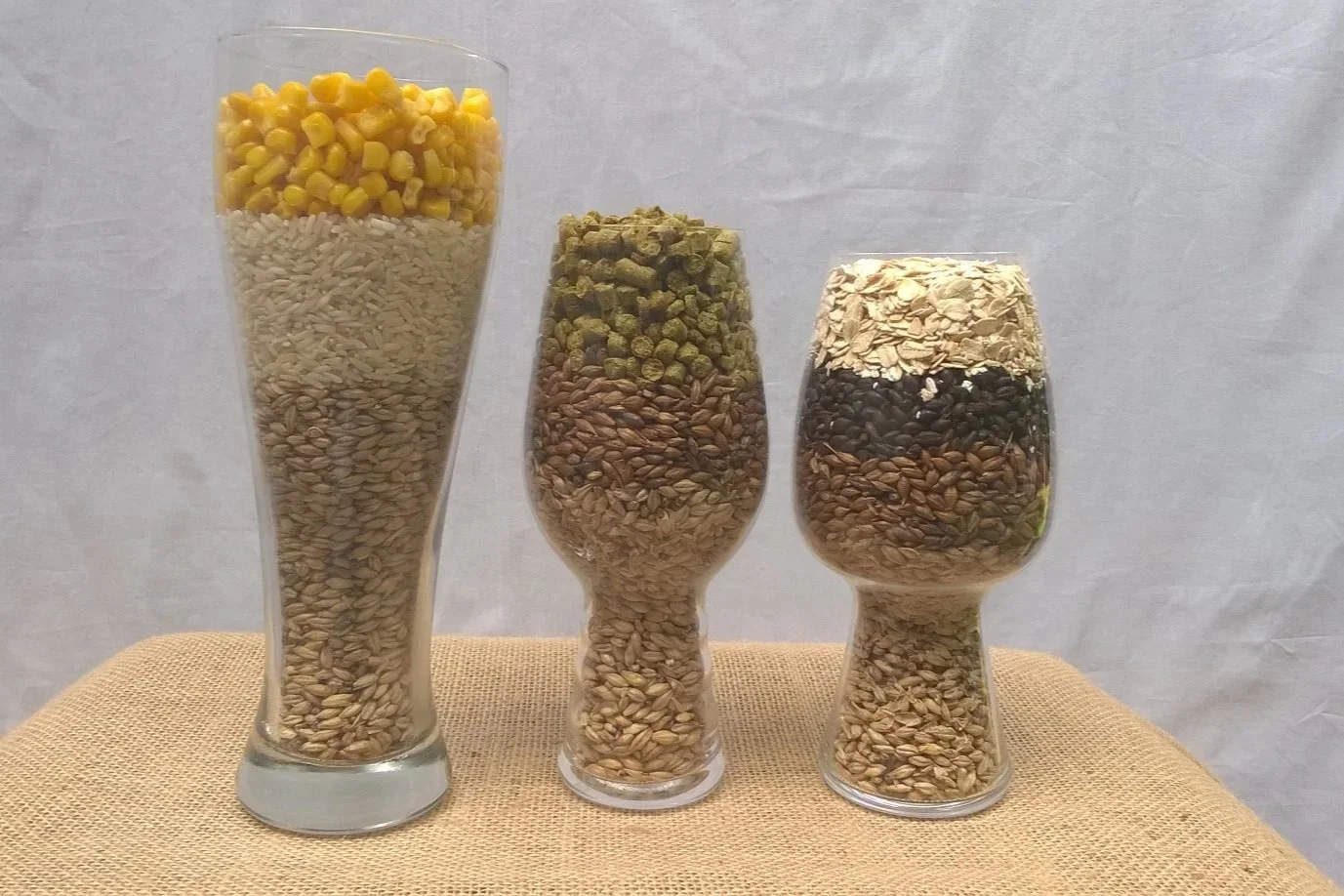 Ever Wondered What Your Beer Looks Like Before It's Brewed?