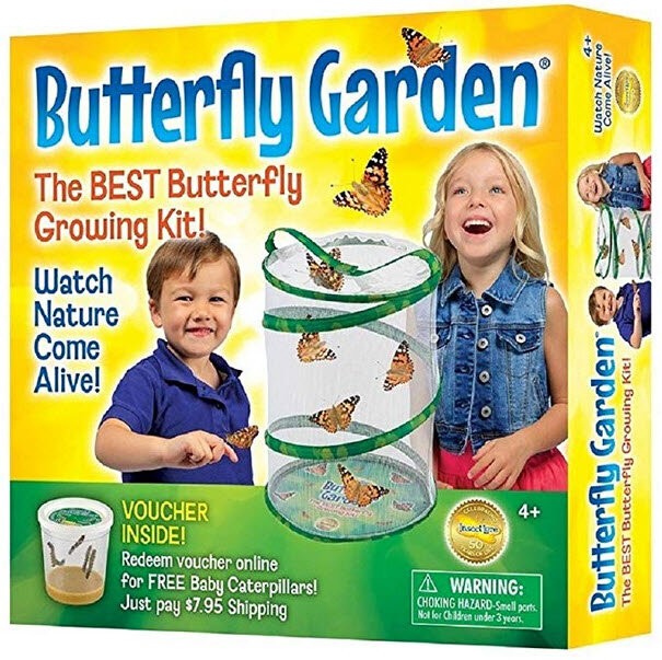 Butterfly Garden Kit - $28