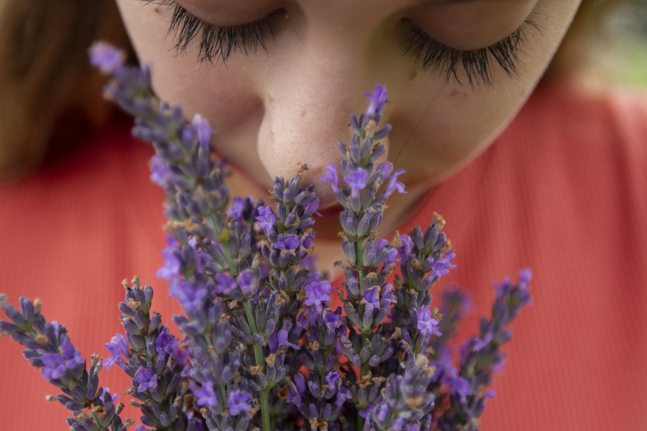 Free Webinar - Introduction to Essential Oils