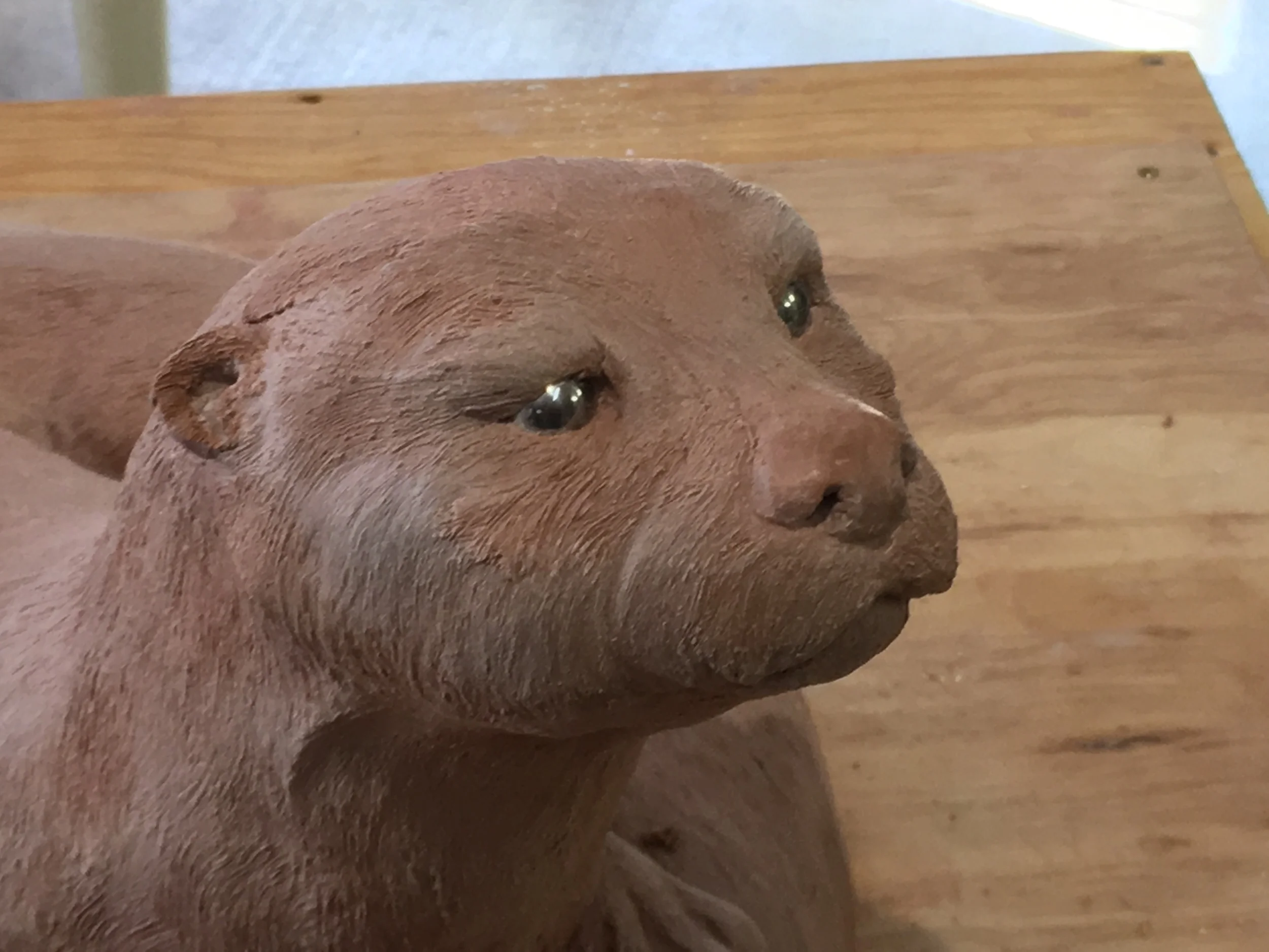 otter closeup.jpg