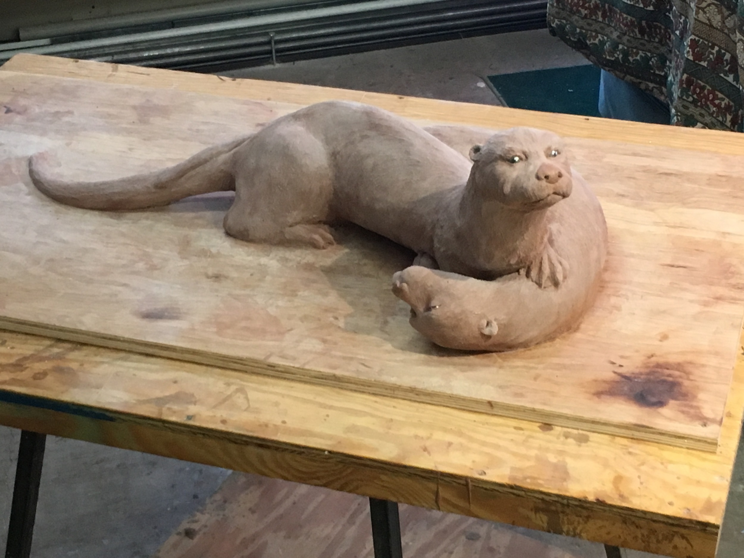 otter pair.jpg