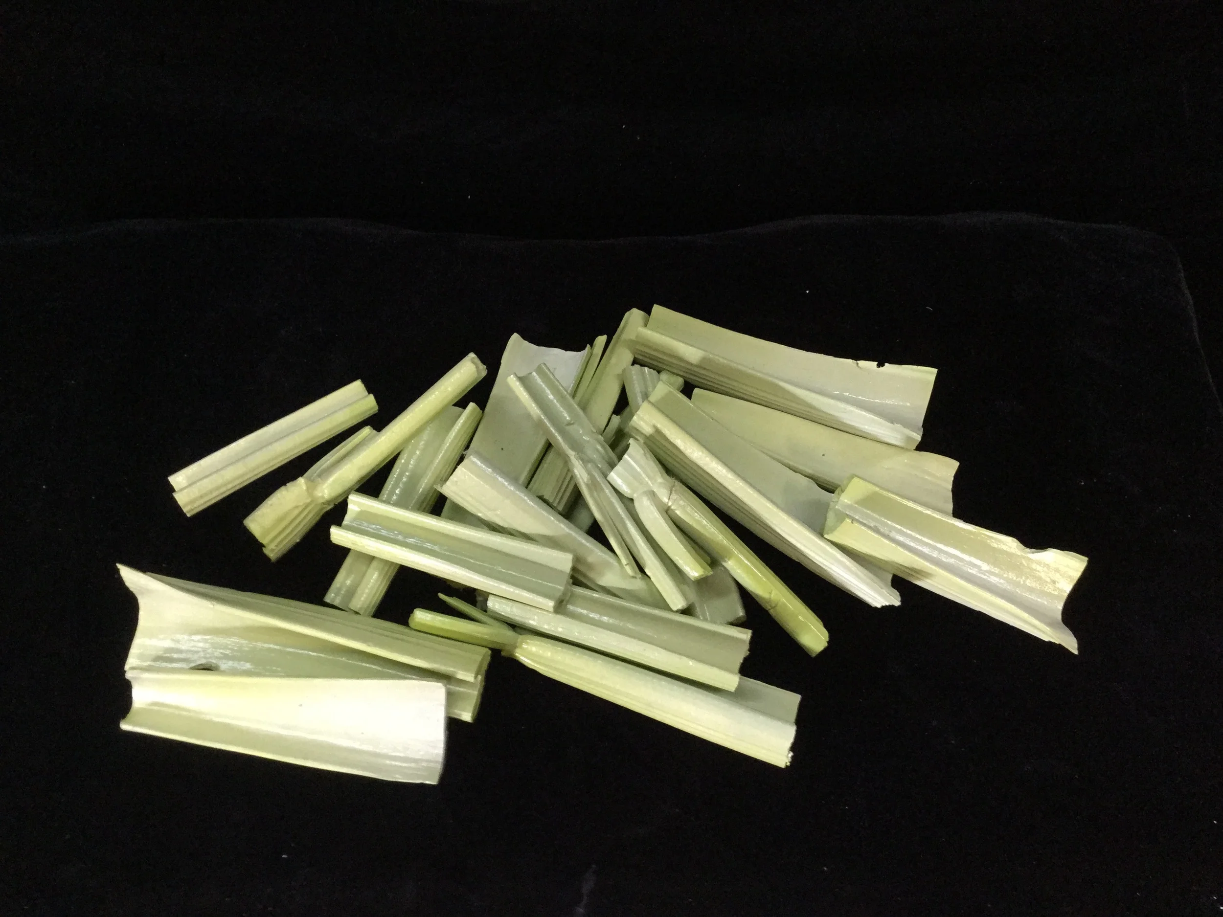 celery.jpg
