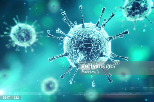 Modern Disease and the Balance of Cleanliness