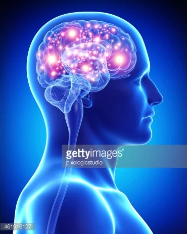 Cognitive Evolution -ANTH and PSYCH Final Paper
