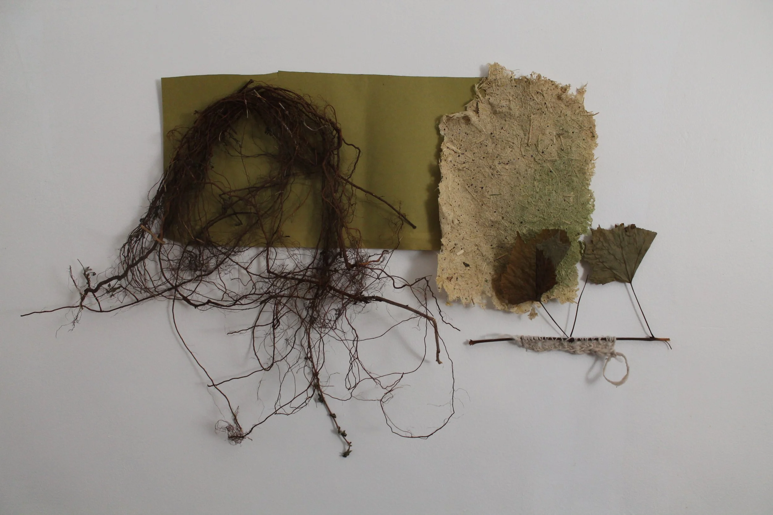 Papier vert racines et laine d'alpaga.JPG