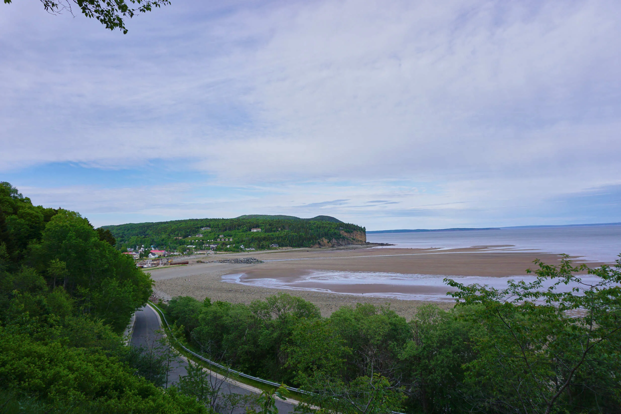 DSC02873b.jpg