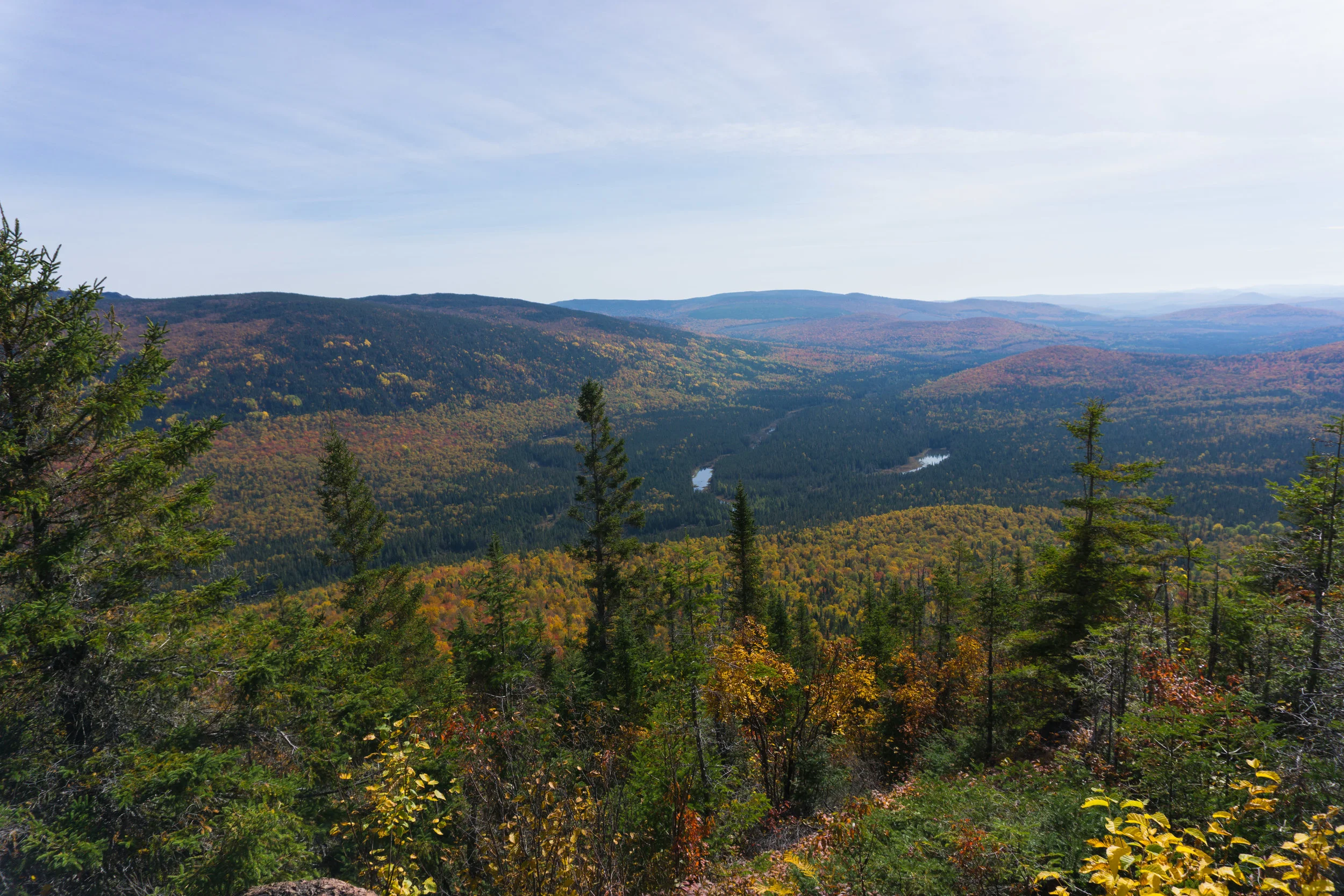 DSC08392-39.jpg