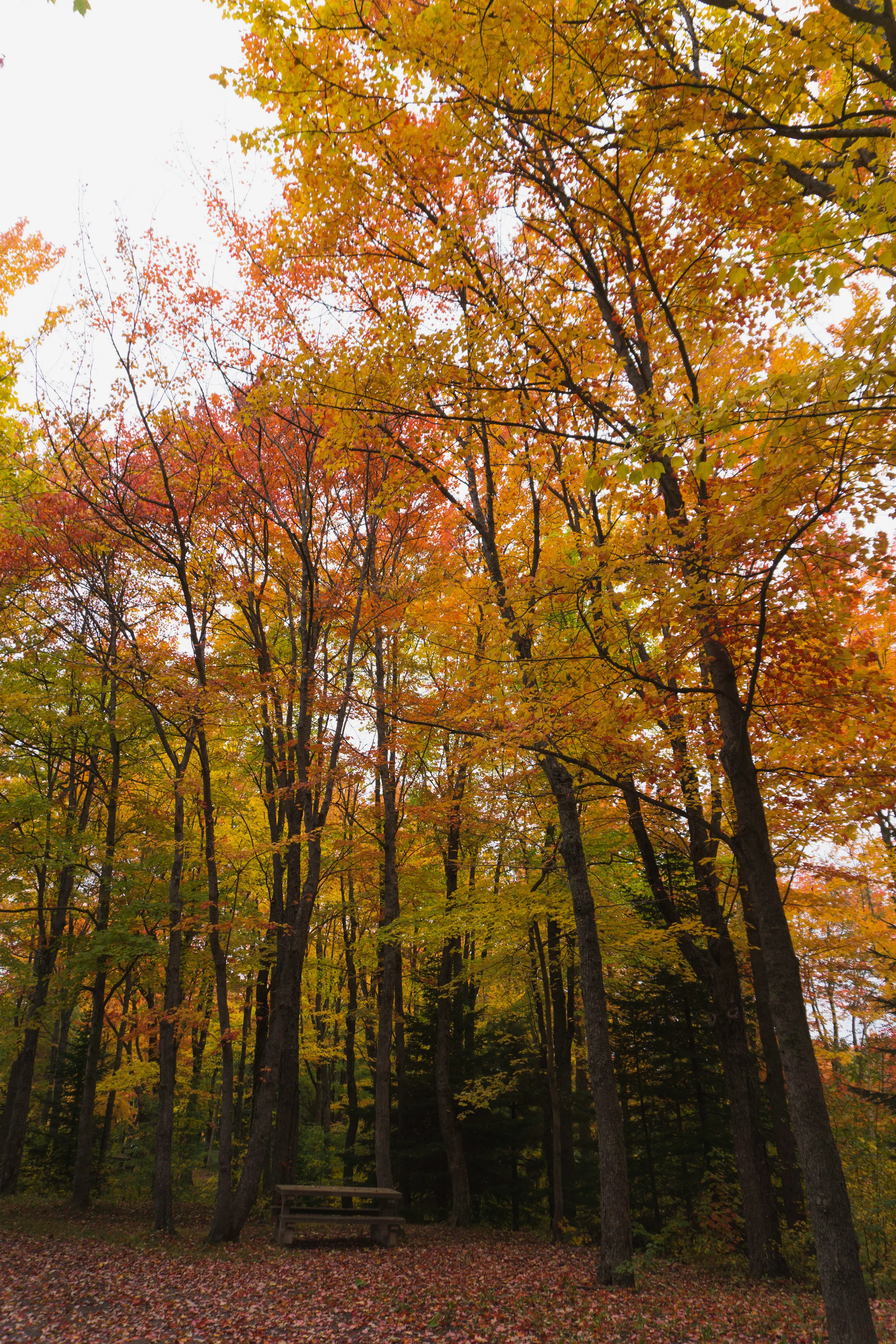 DSC08612-2.jpg