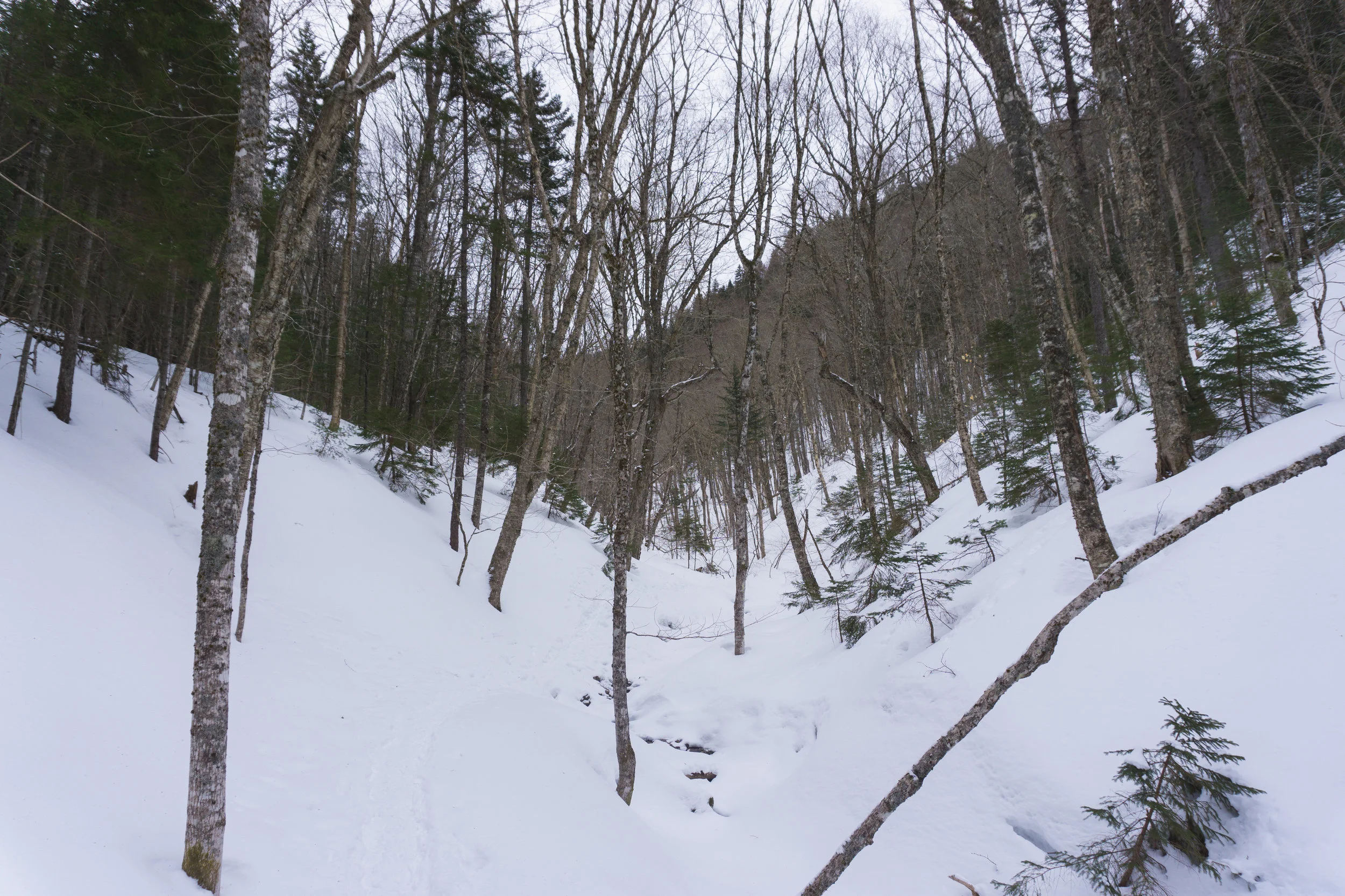 DSC09501-4.jpg