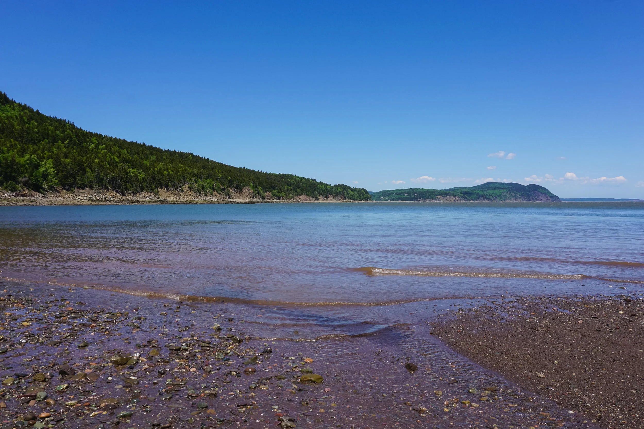 DSC03117-5.jpg