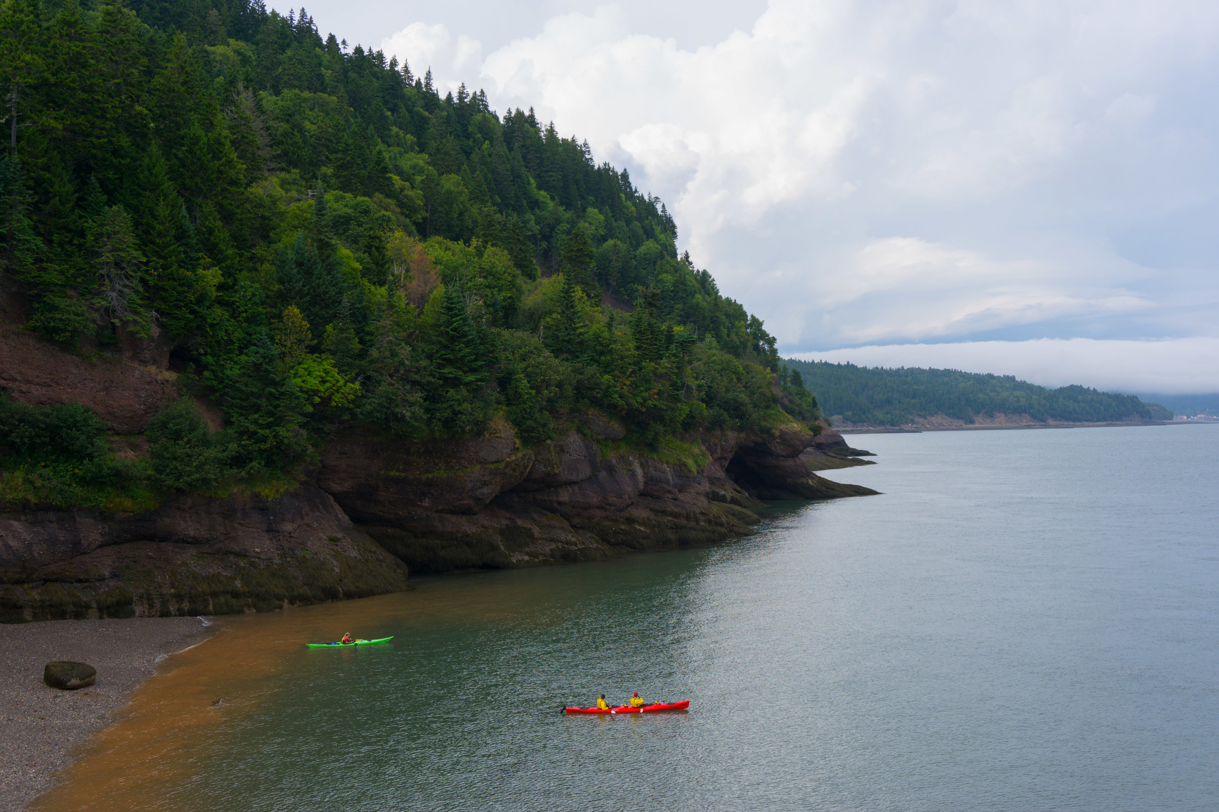 Top 5 Hikes in Fundy National Park