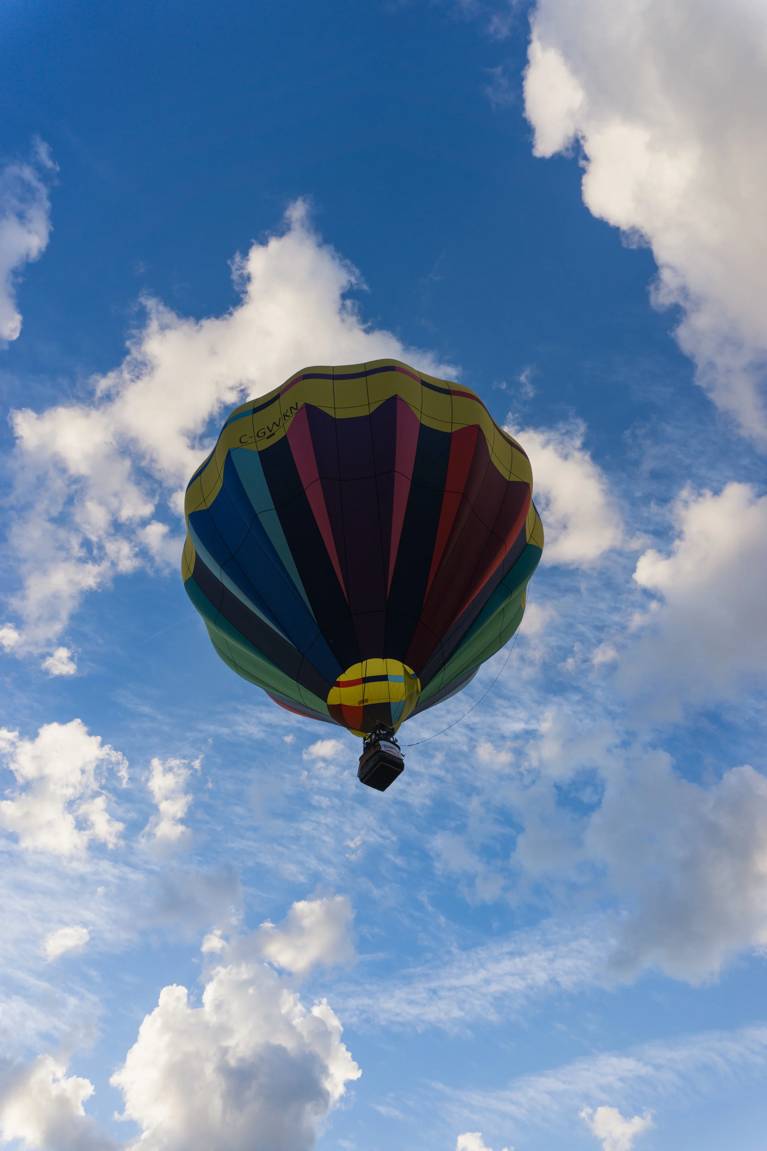 DSC07254-6.jpg