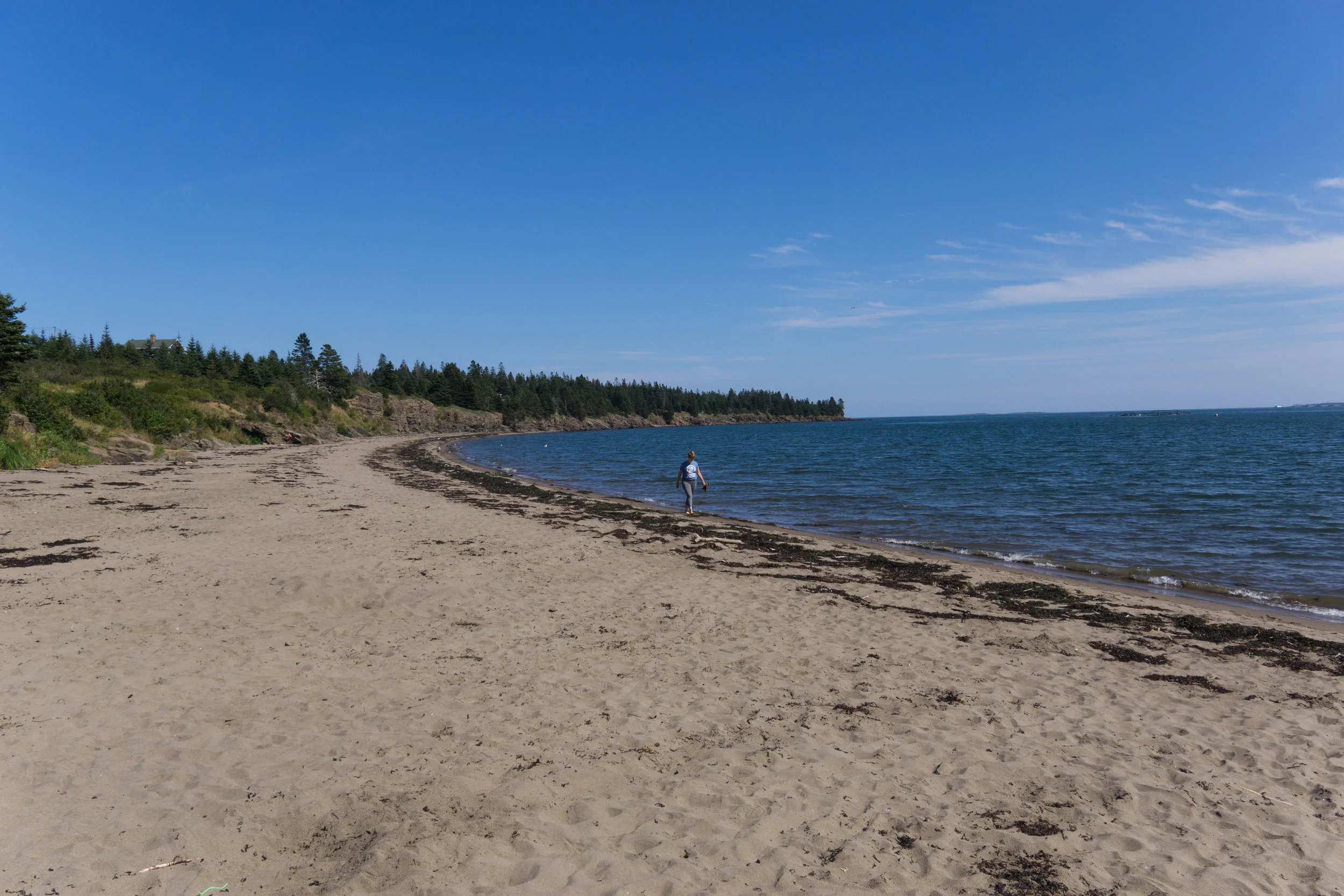 DSC04064-2.jpg