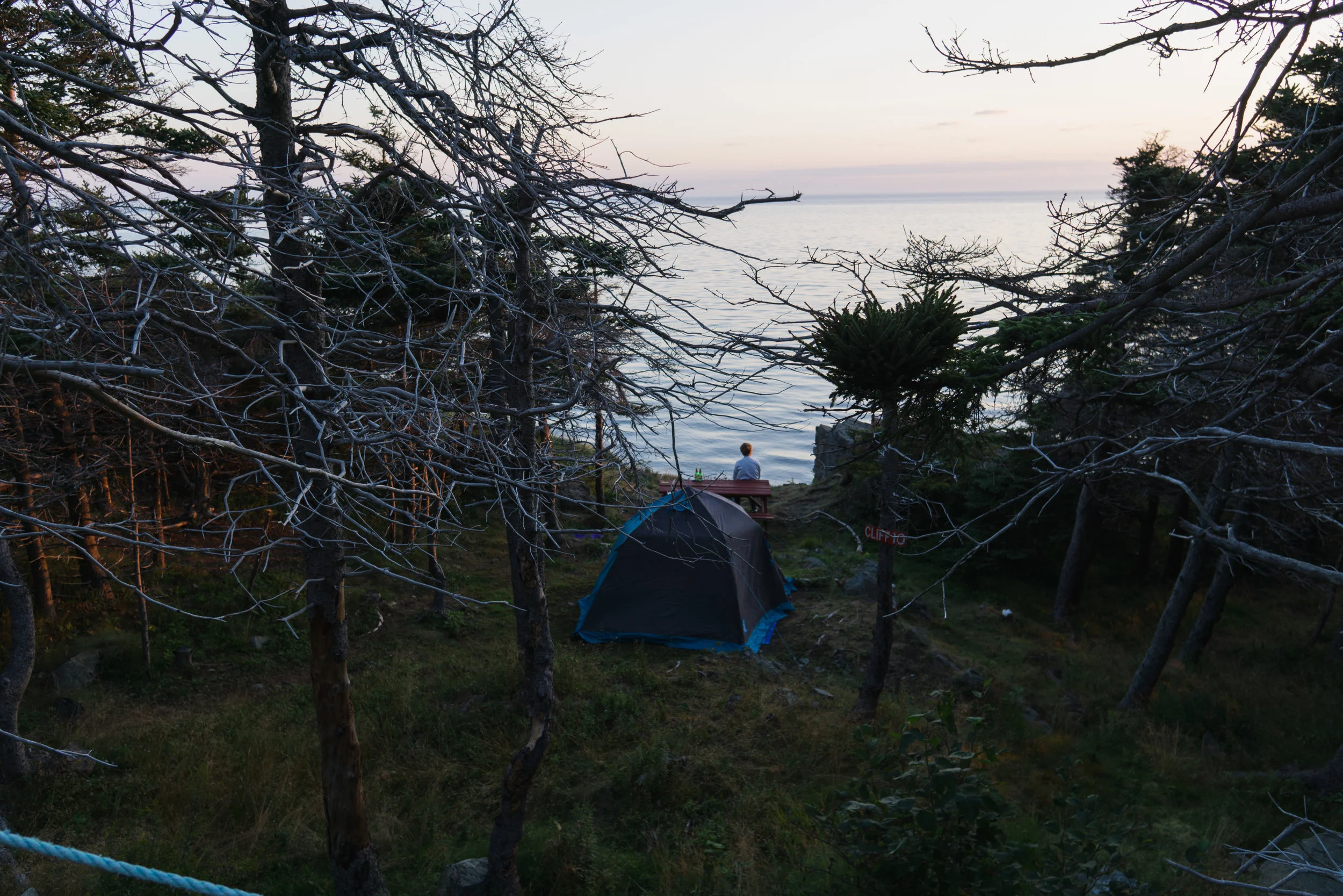 DSC04286-1.jpg