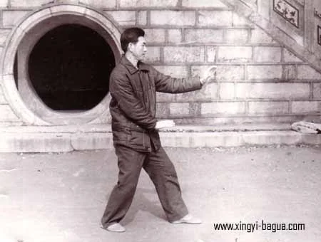刘敬儒师父示範劈拳 Master Liu Jing Ru performing Pi Quan (Splitting Fist).