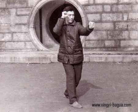 刘敬儒师父示範炮拳 Master Liu Jing Ru performing Pao Quan (Cannon Fist).