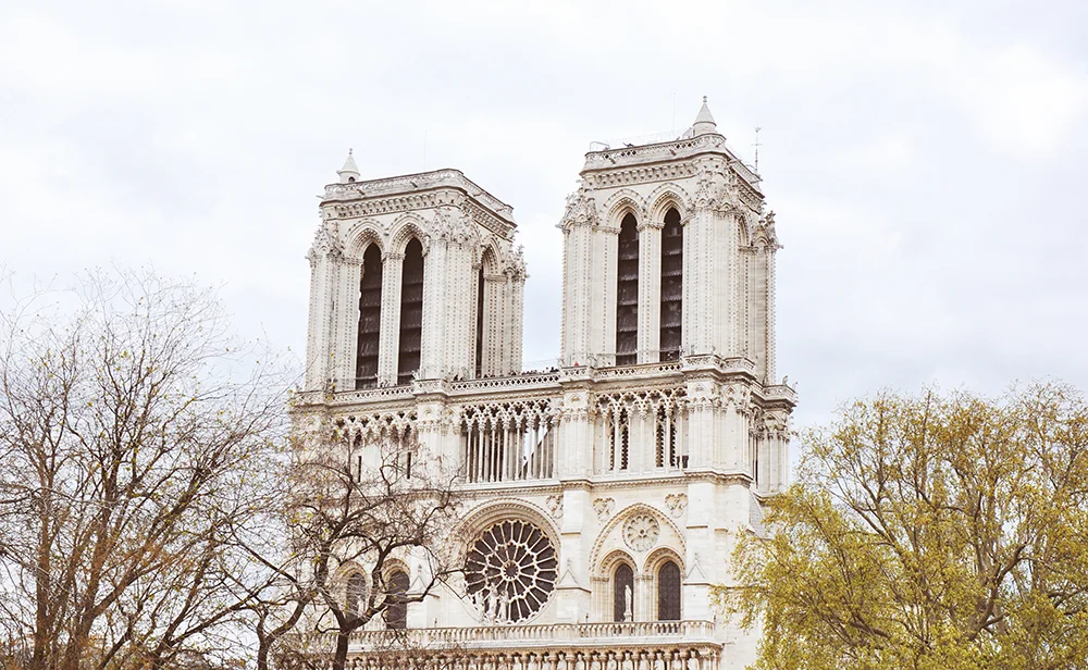 DSC_0265M.jpg