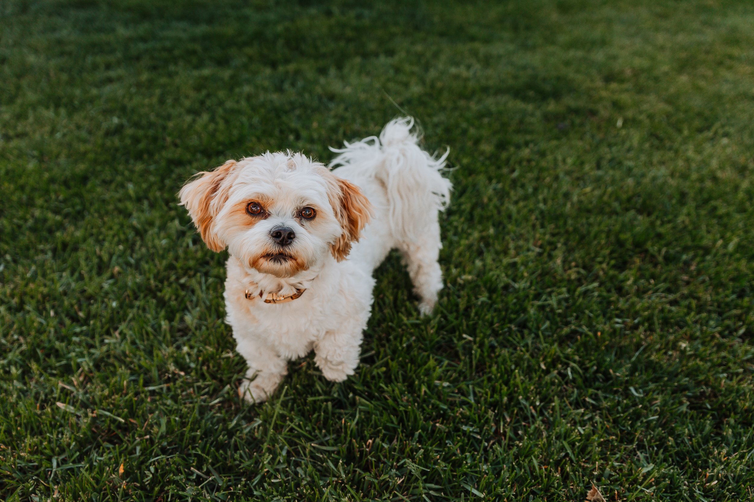 JoLynne Kohl May 2025 (14 of 122).jpg