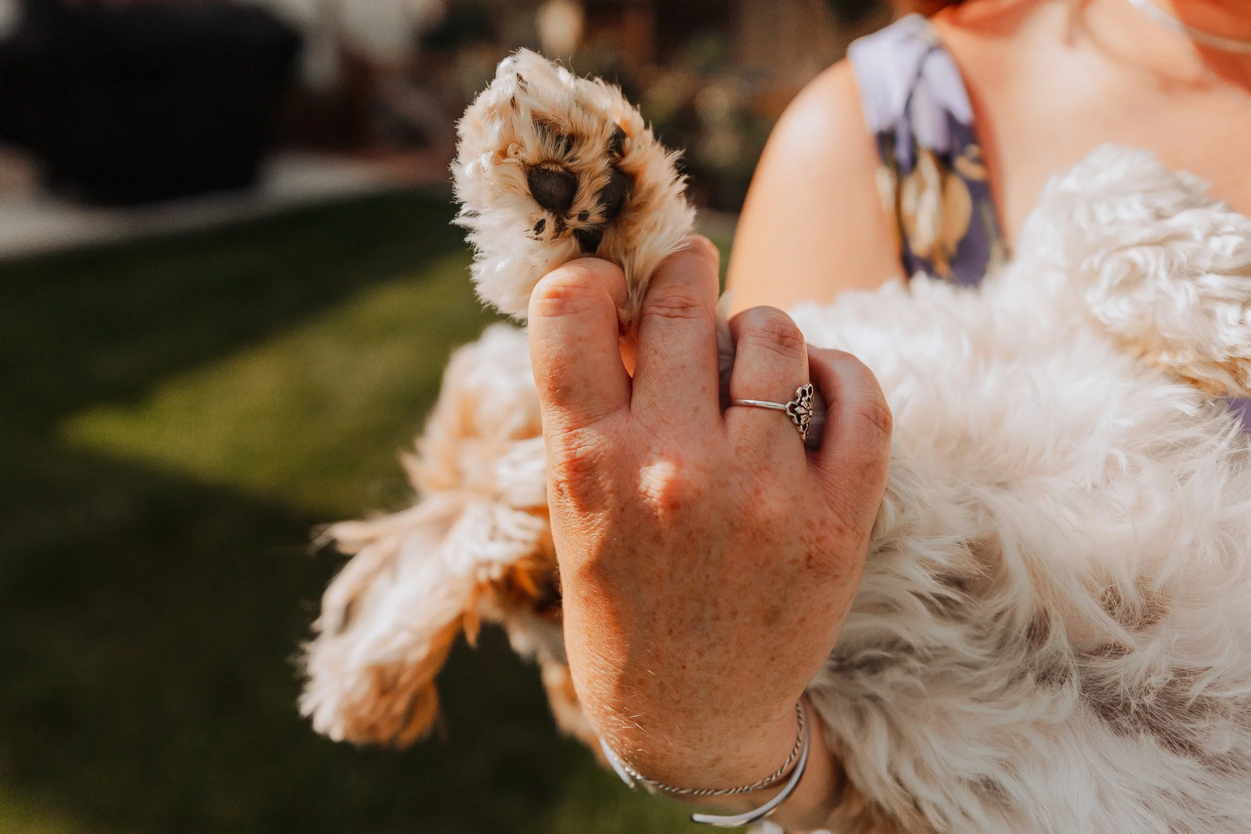 JoLynne Kohl May 2025 (70 of 122).jpg