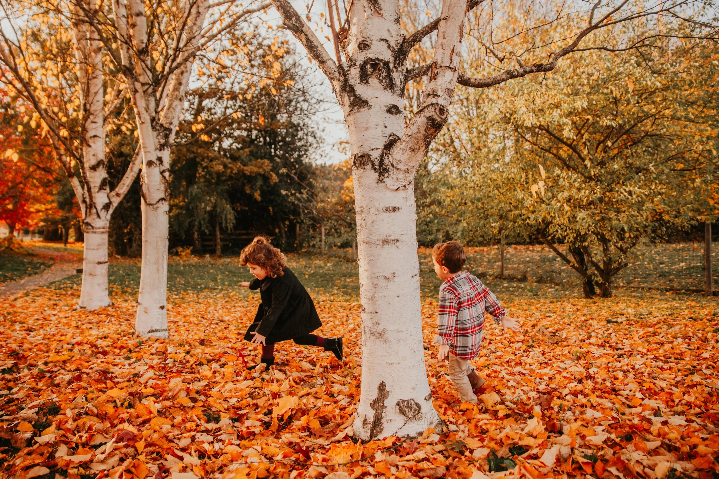 Brittany M. (73 of 179).jpg