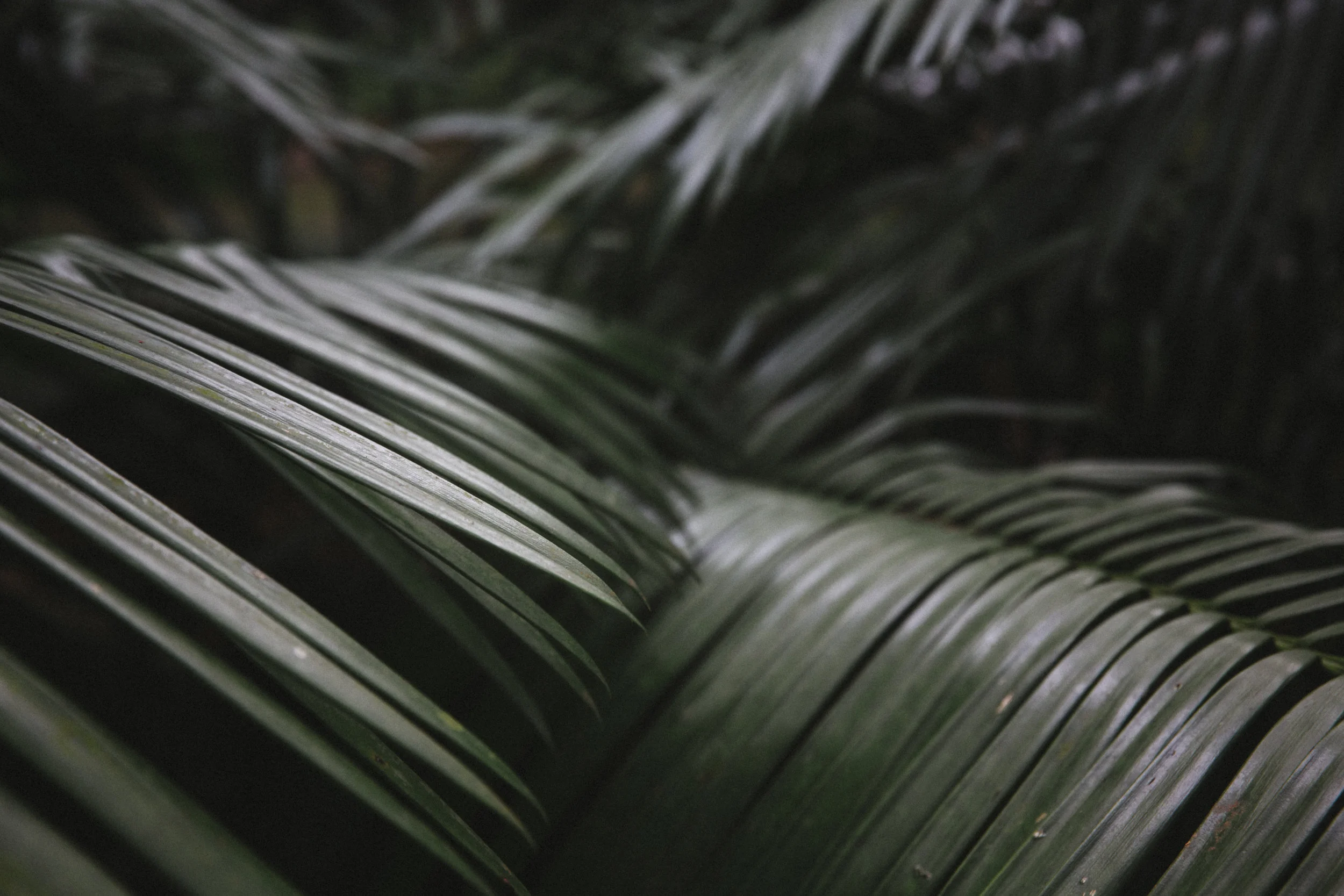 _38A5353.jpg
