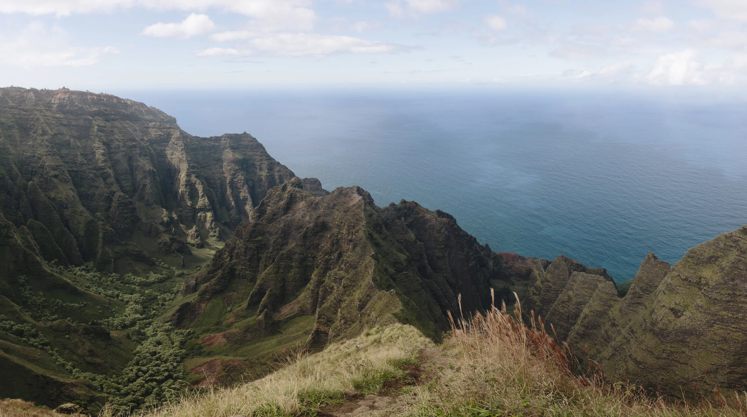 _38A5272-Pano.jpg