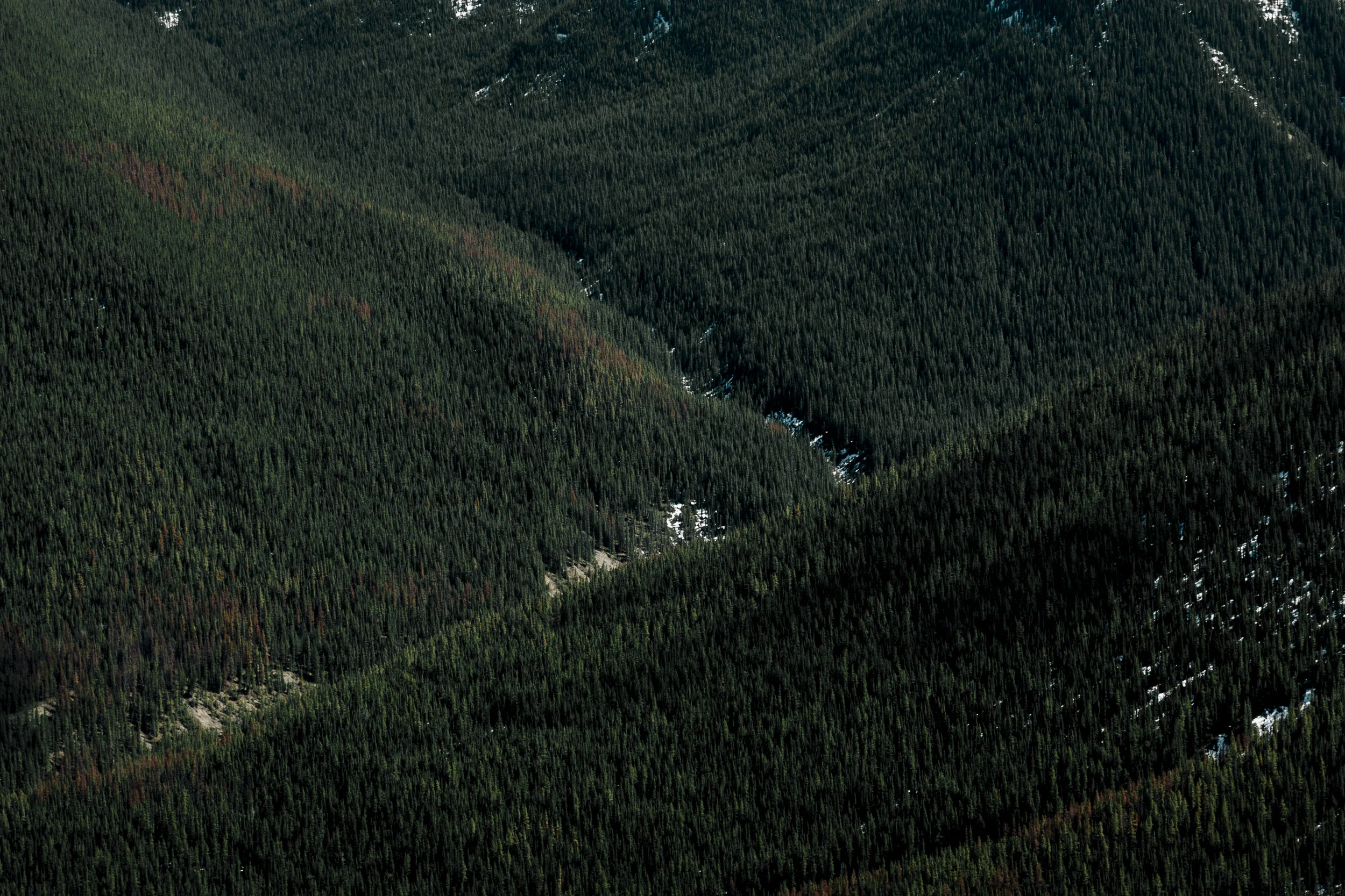 _38A6854.jpg