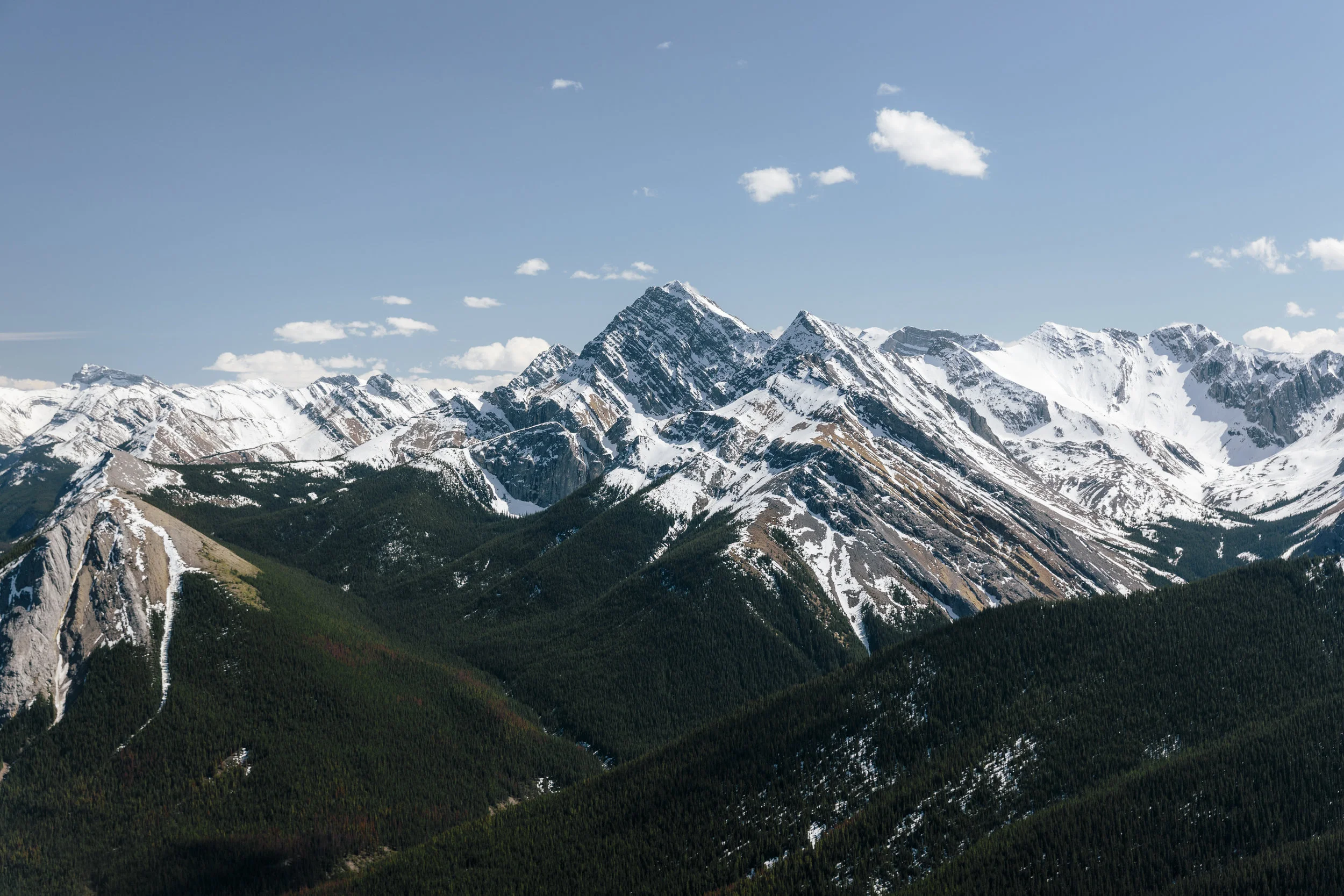 _38A6852.jpg