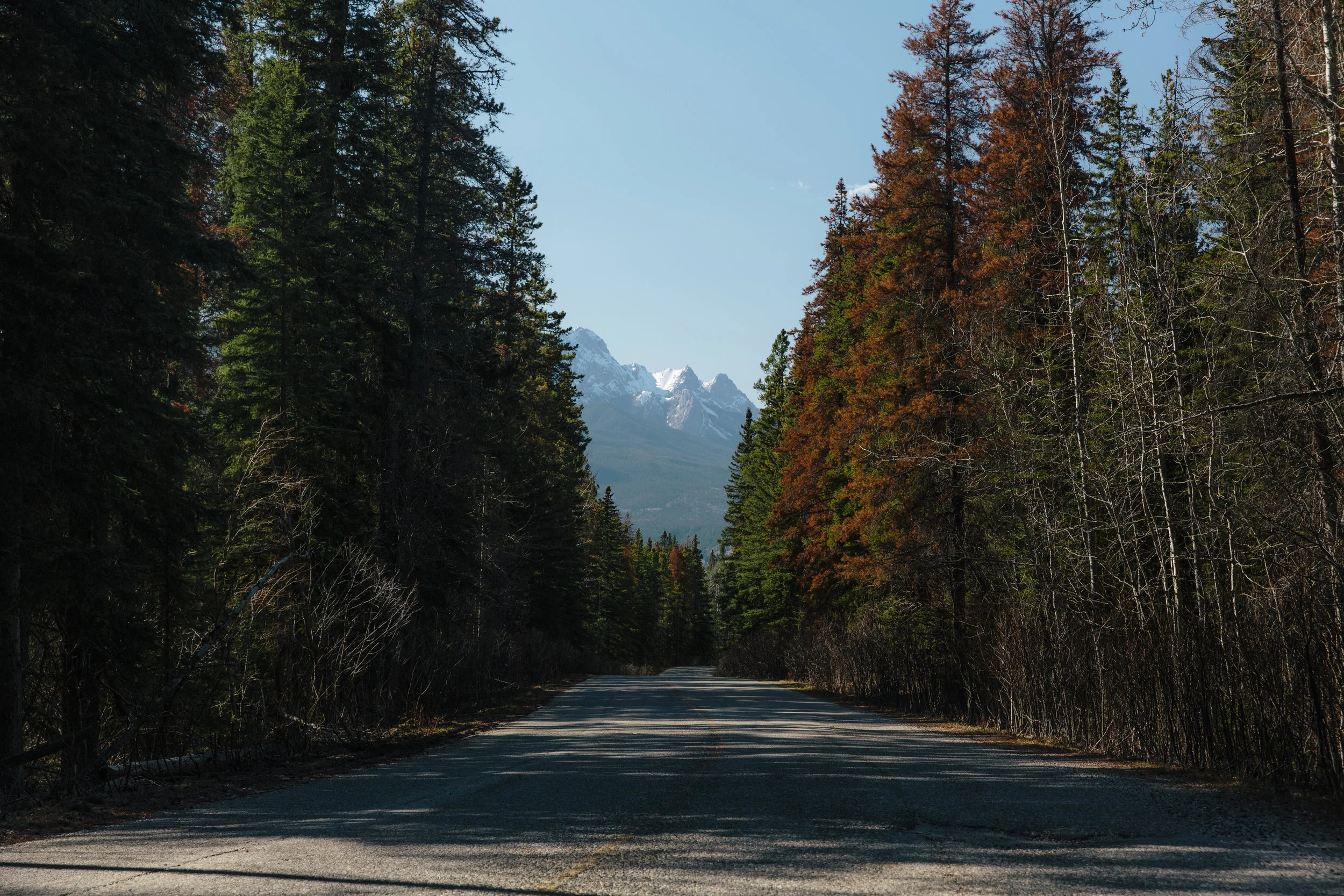_38A7138.jpg
