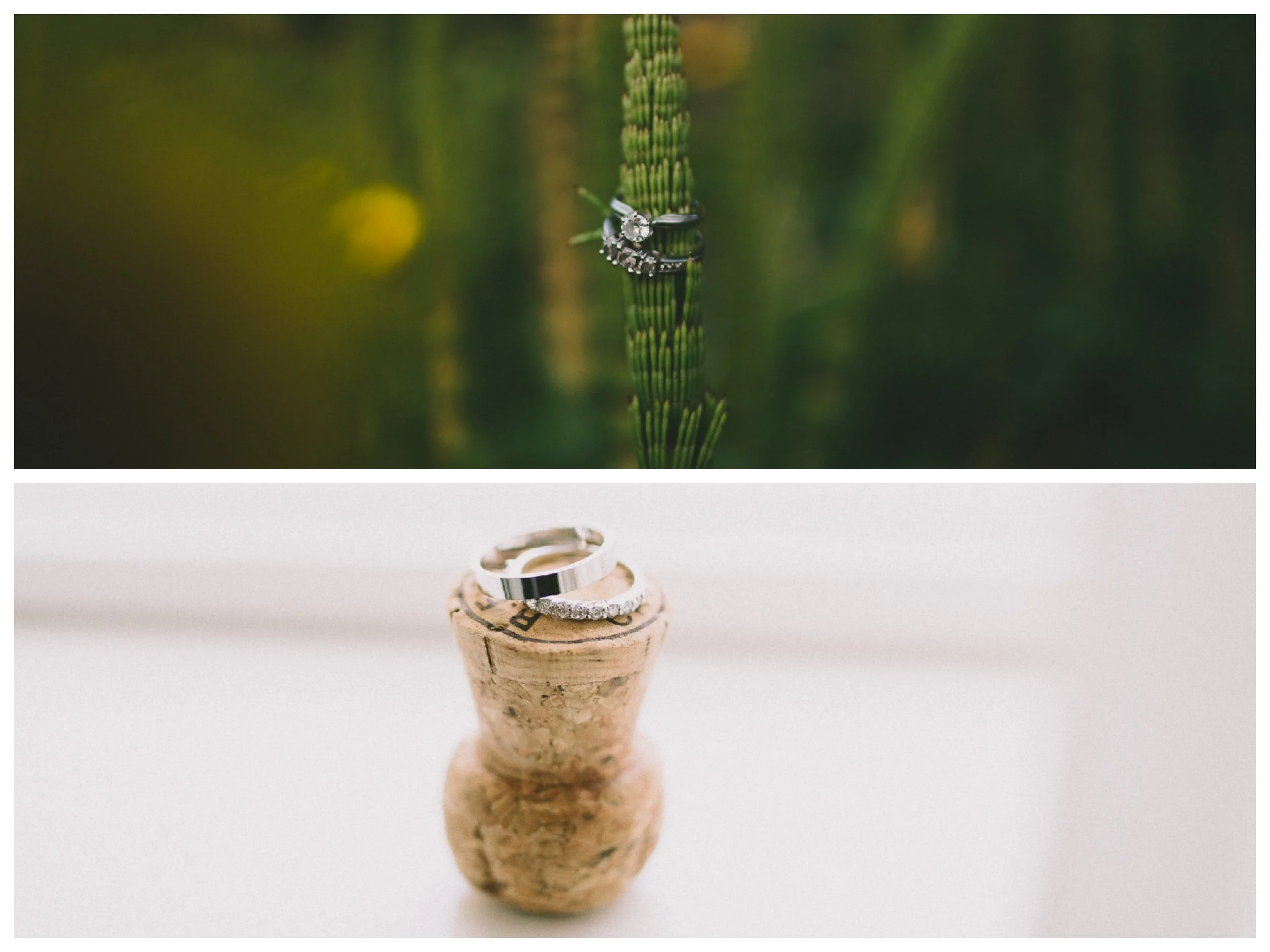 Rings Collage.jpg
