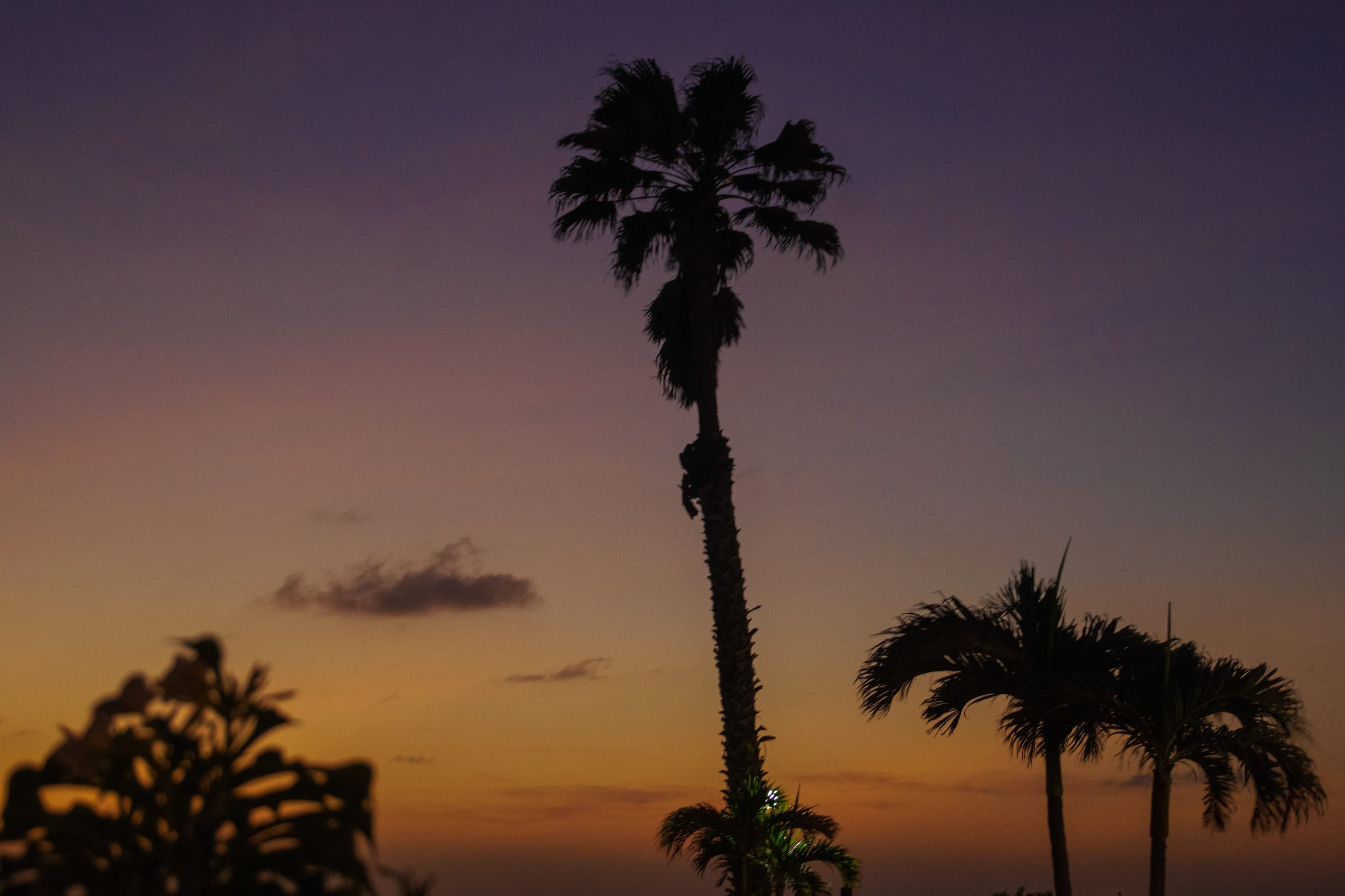 12 Photos to Make You Want to Go to Aruba