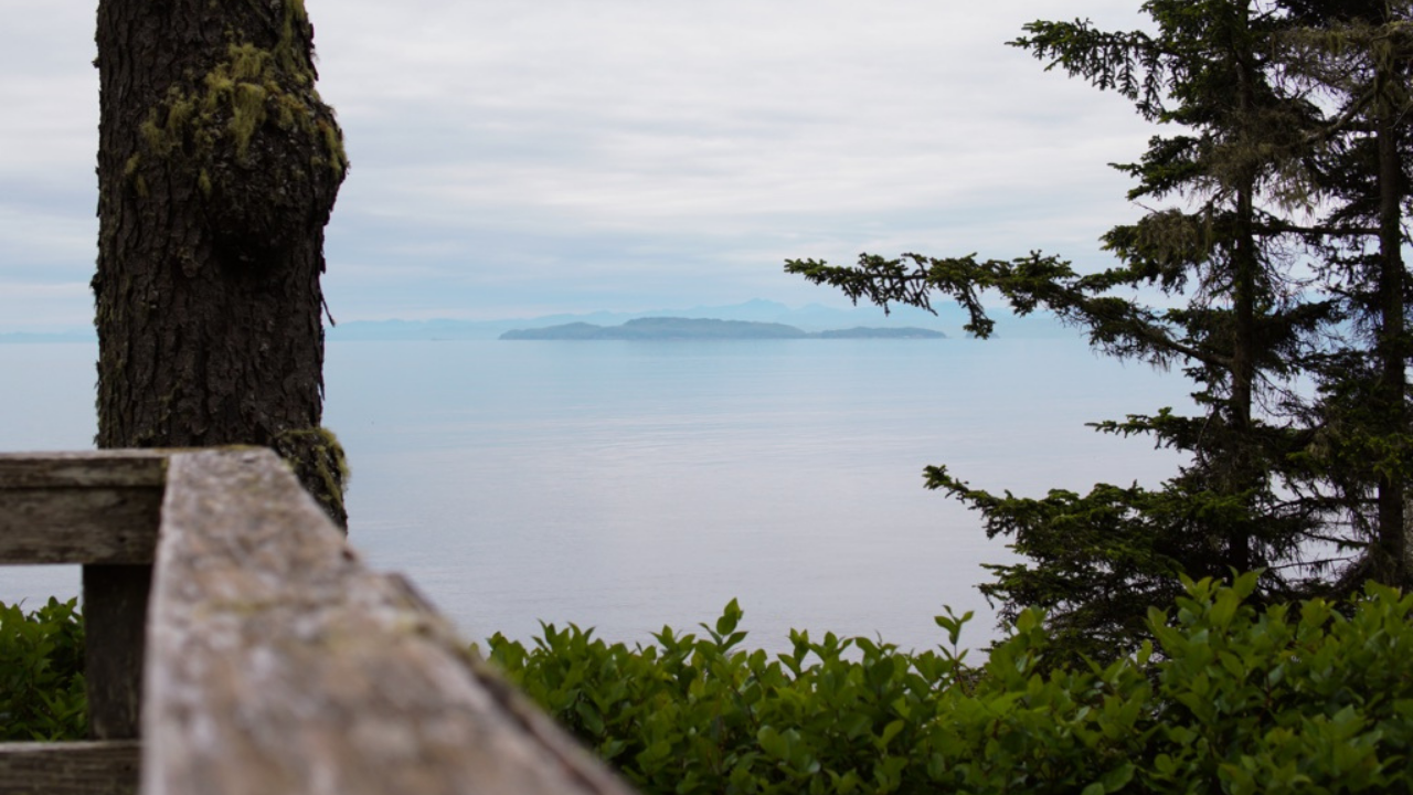 24 Photos to Make You Fall in Love With Malcolm Island