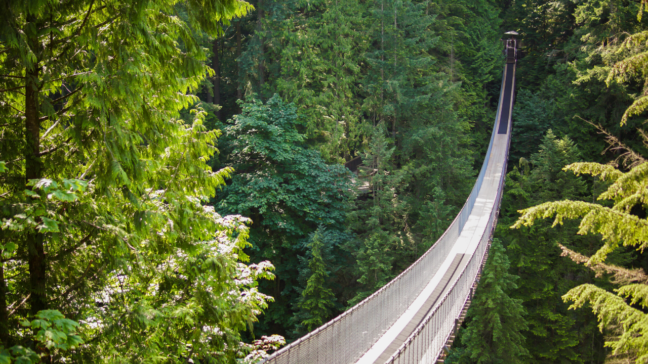 A Day Trip to Capilano Suspension Bridge Park in Vancouver