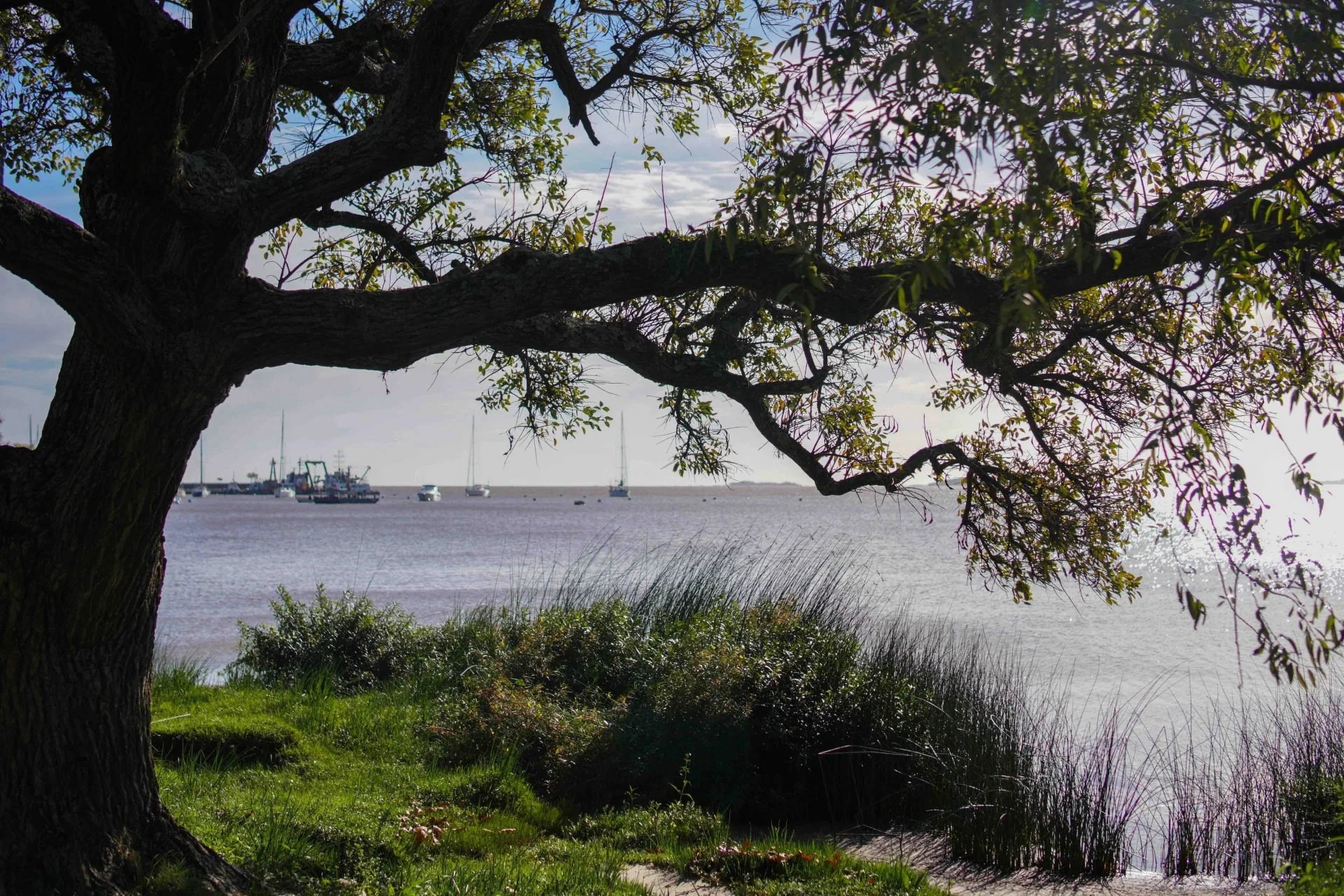 Lesbian Travel Guide to Colonia del Sacramento, Uruguay