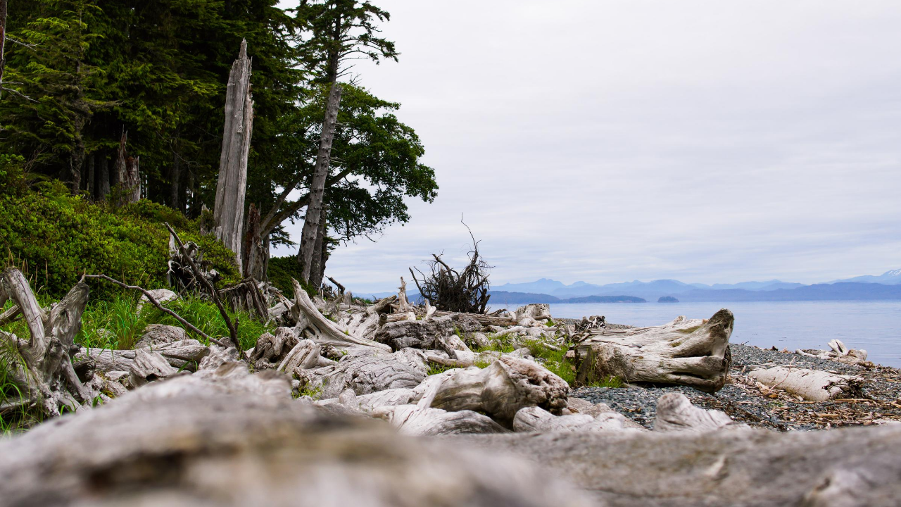 A Lesbian Friendly Getaway to Malcolm Island, Canada