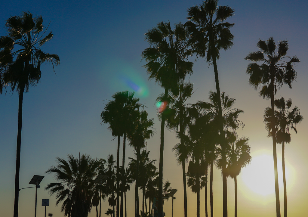 Lesbian Travel Guide to Palm Springs, California
