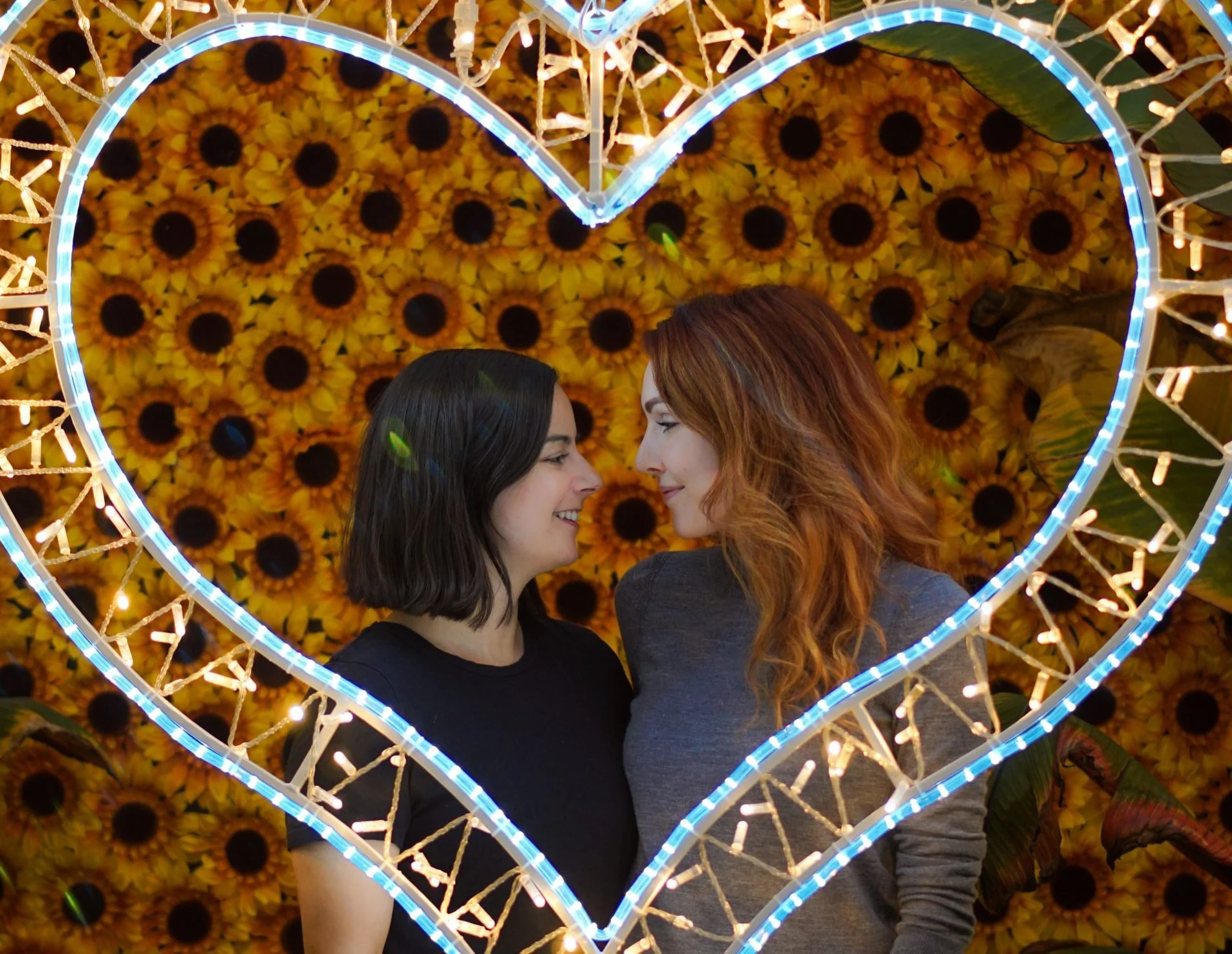 Top 5 Organizations that Support the Lesbian Community