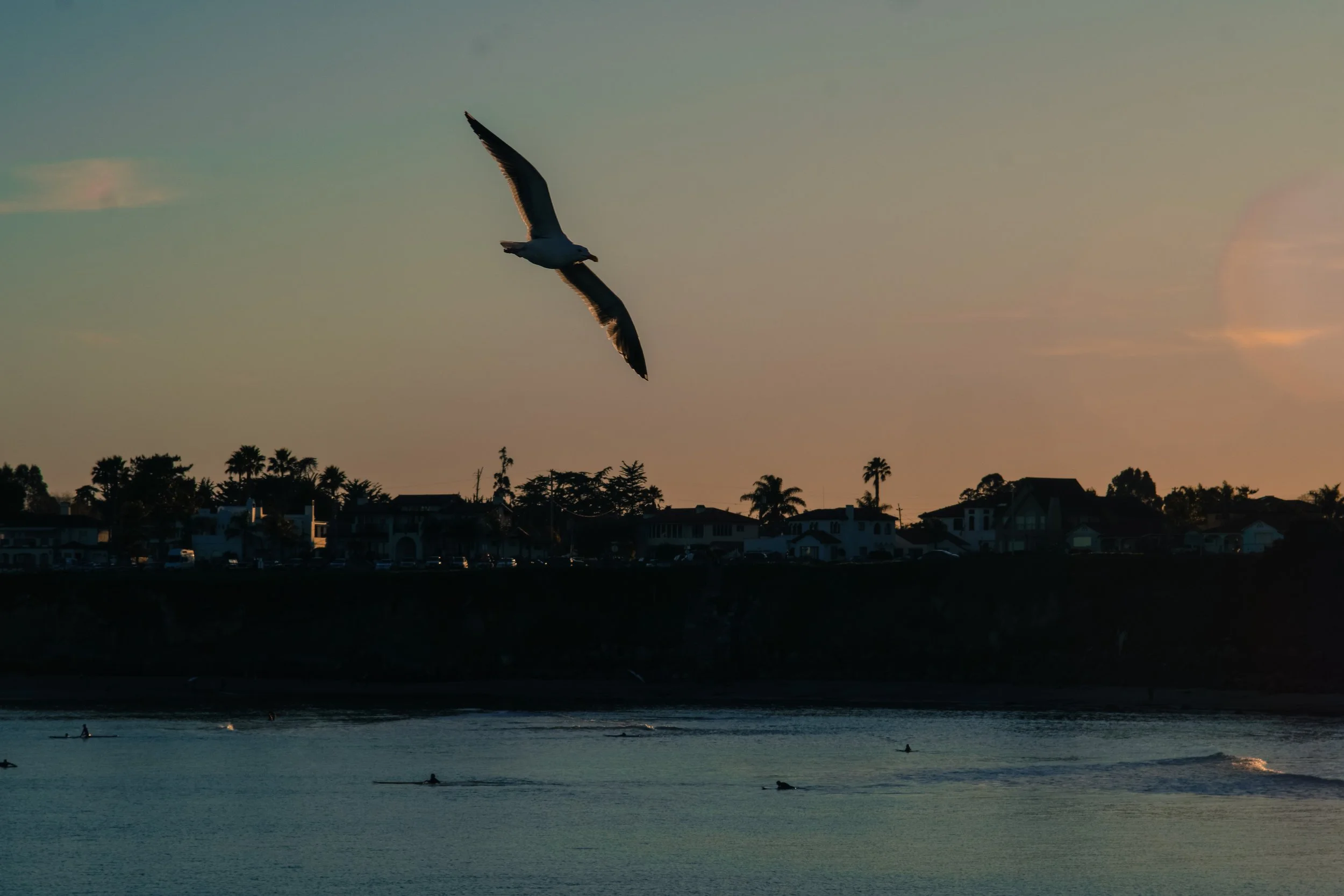 Top 6 Lesbian Travel Destinations in California