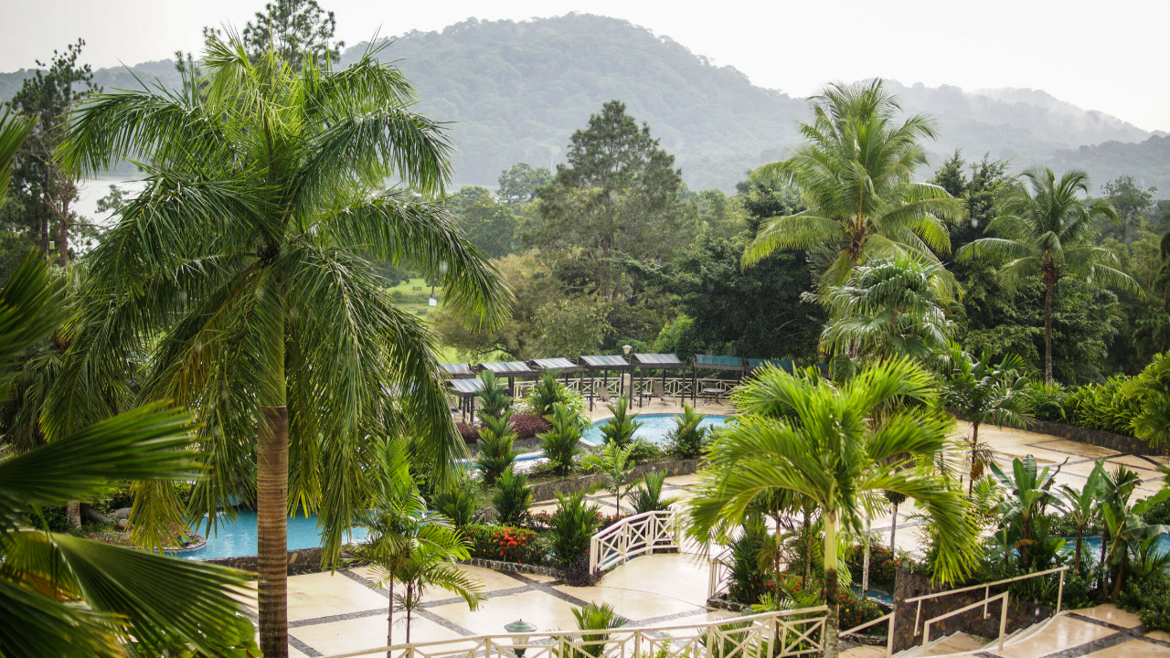 Visiting the Gamboa Rainforest Reserve in Panama
