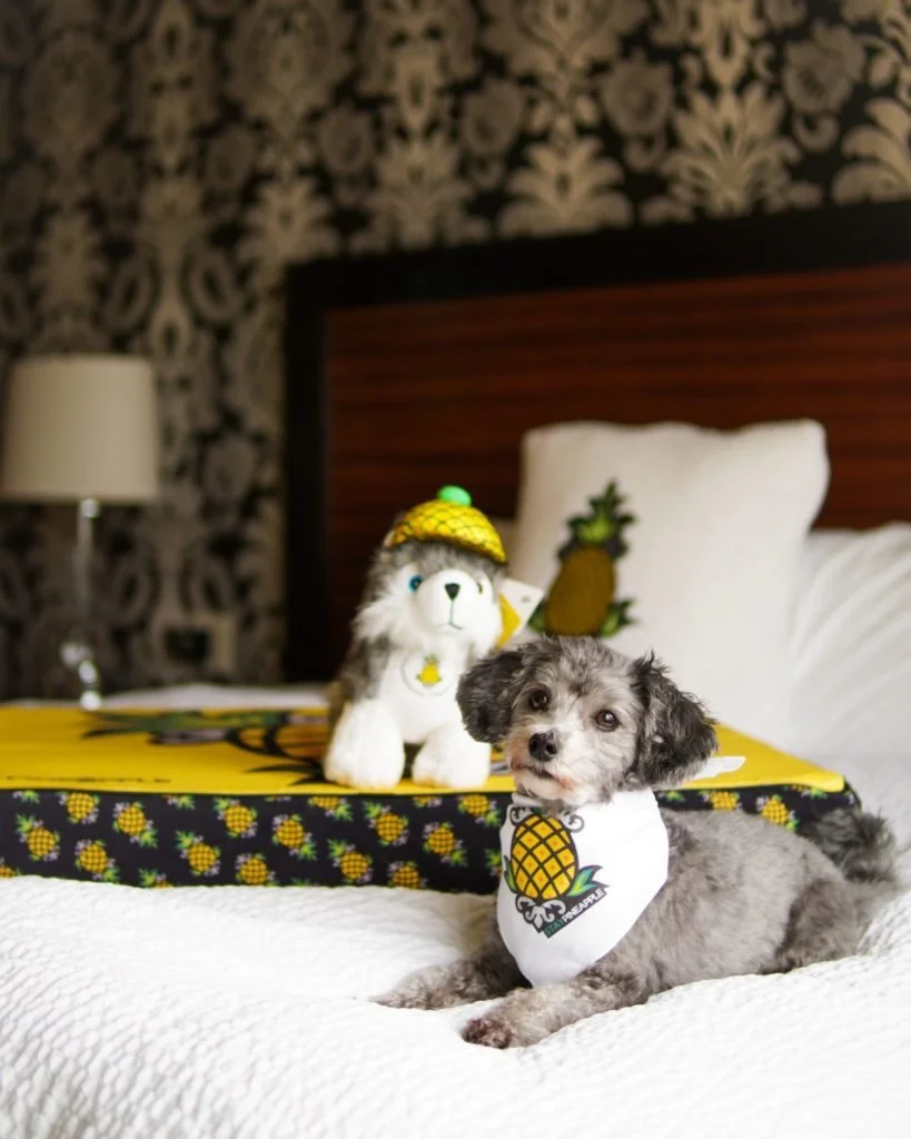 Staypineapple-8-819x1024.jpg