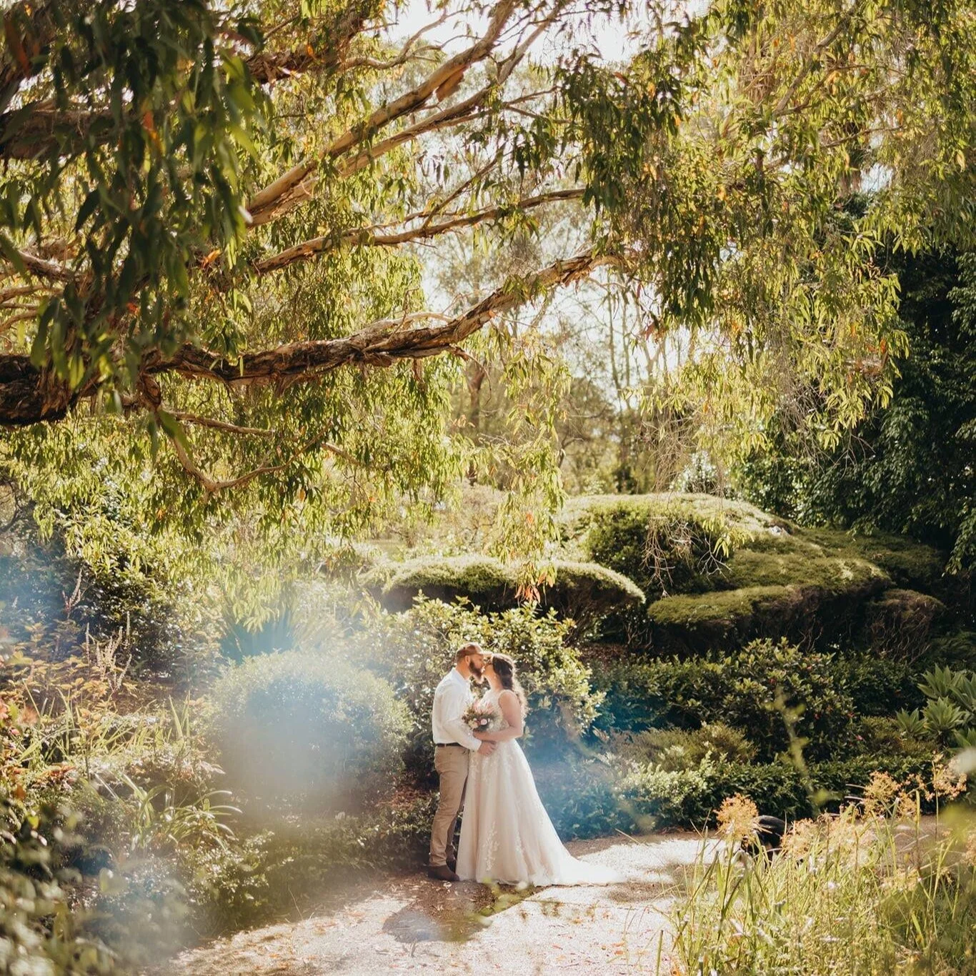 Noosa Botanic Gardens 