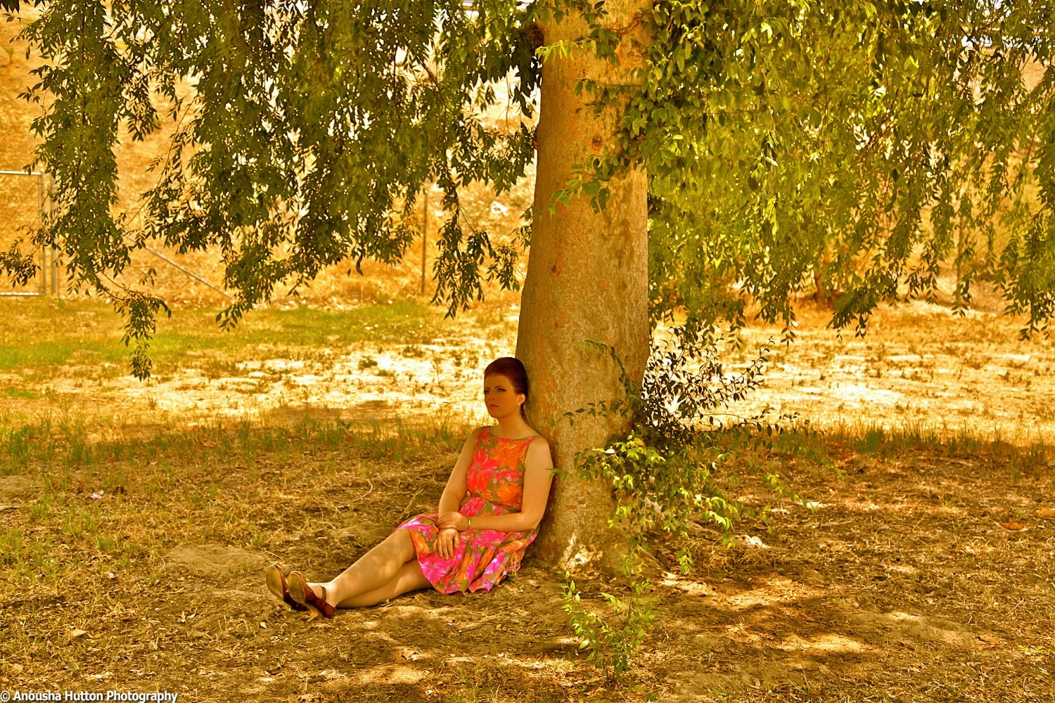 Erica-Tree.jpg