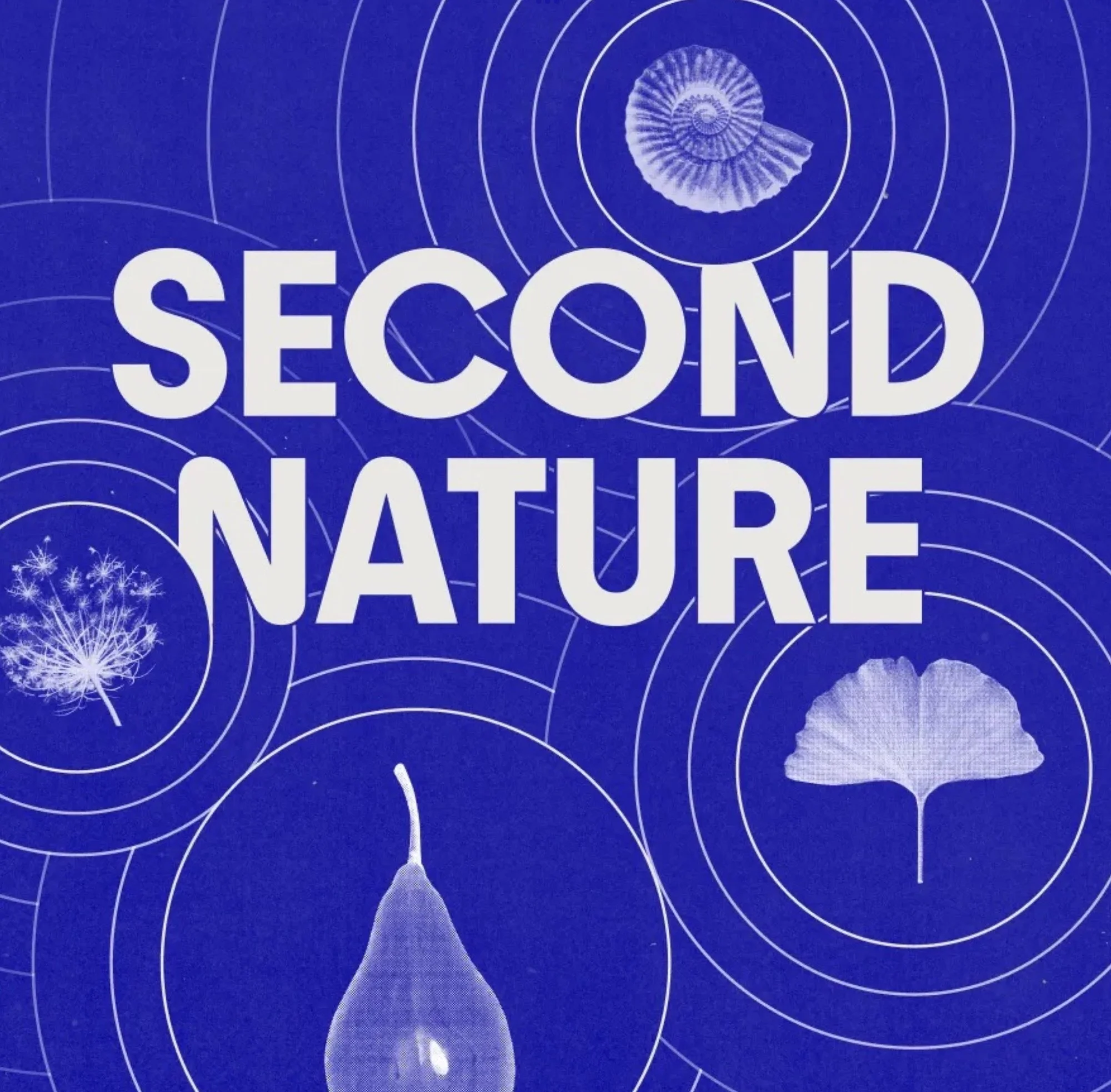 Second Nature