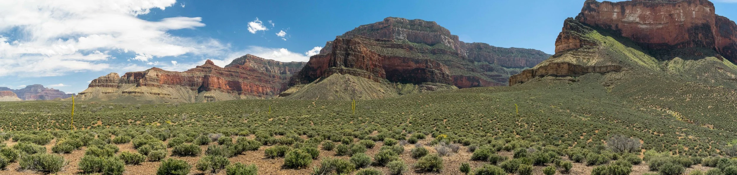 South Rim (Grand Canyon, AZ)
