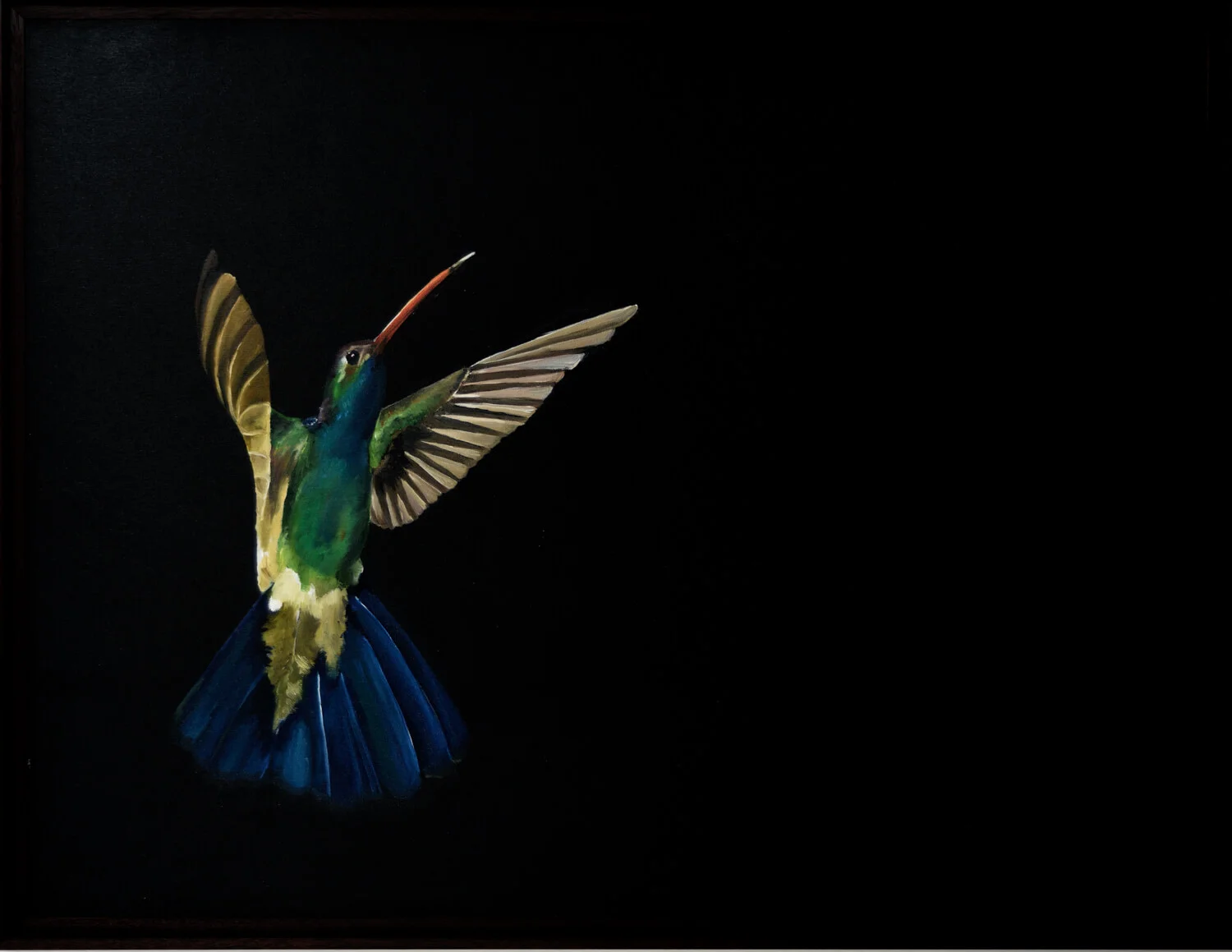 Hummingbird #4