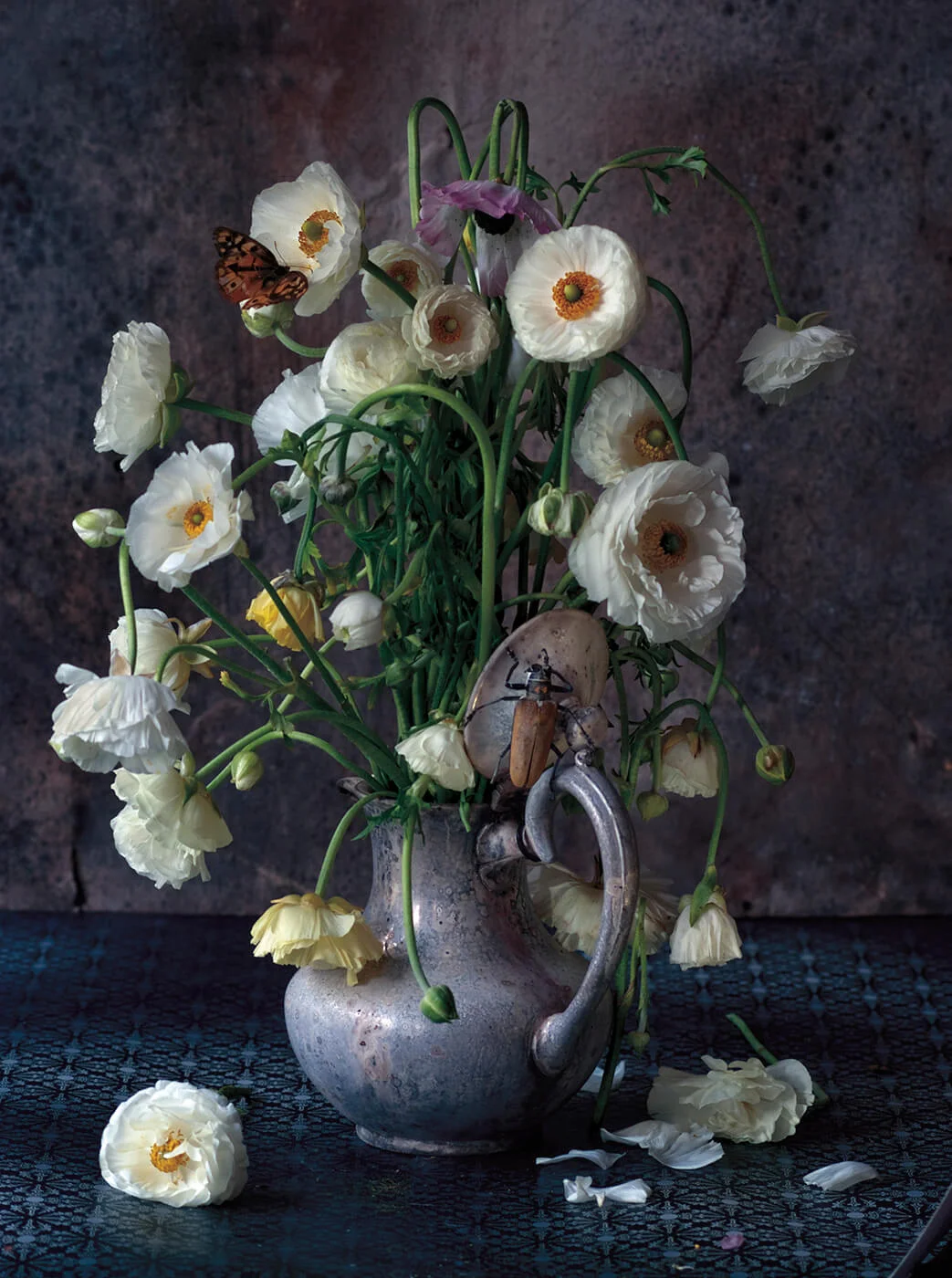 Ranunculus-0339 (1).jpg