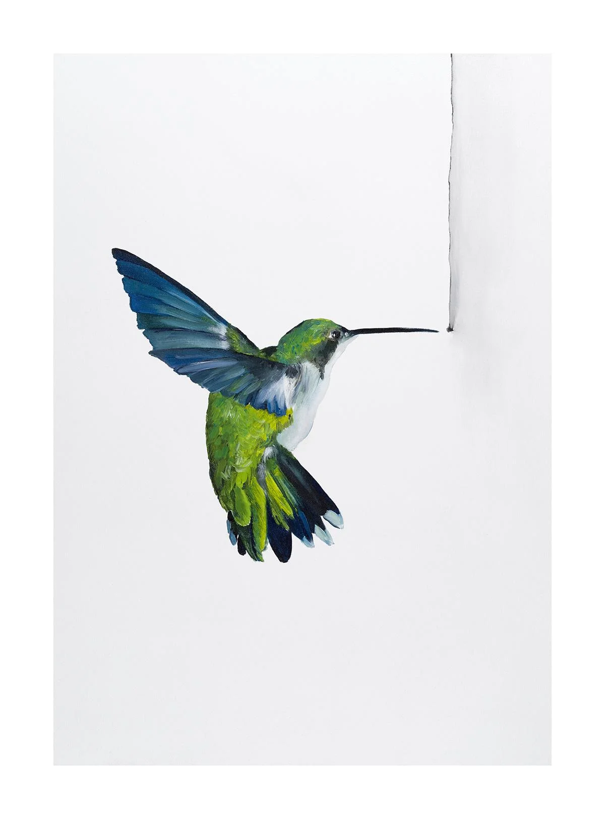 Hummingbird 3.jpg