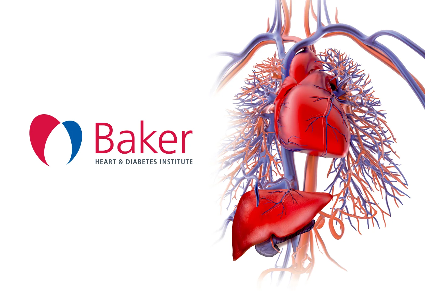 BAKER_SIGNAGE_Base_Master_1400px_v1_01.jpg